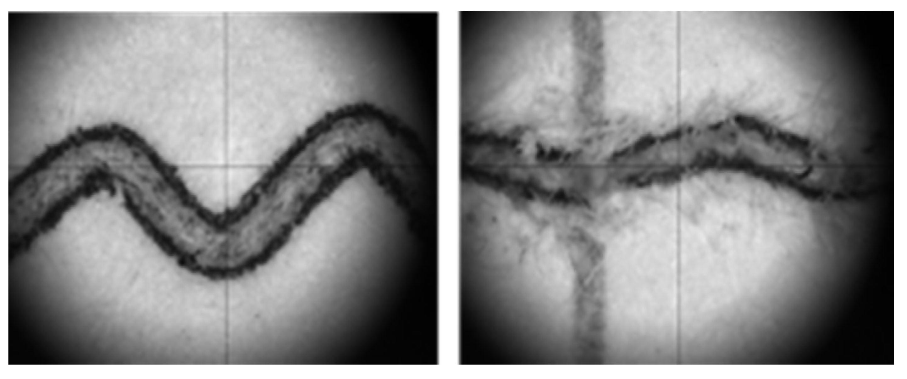 Applsci 12 09327 g012