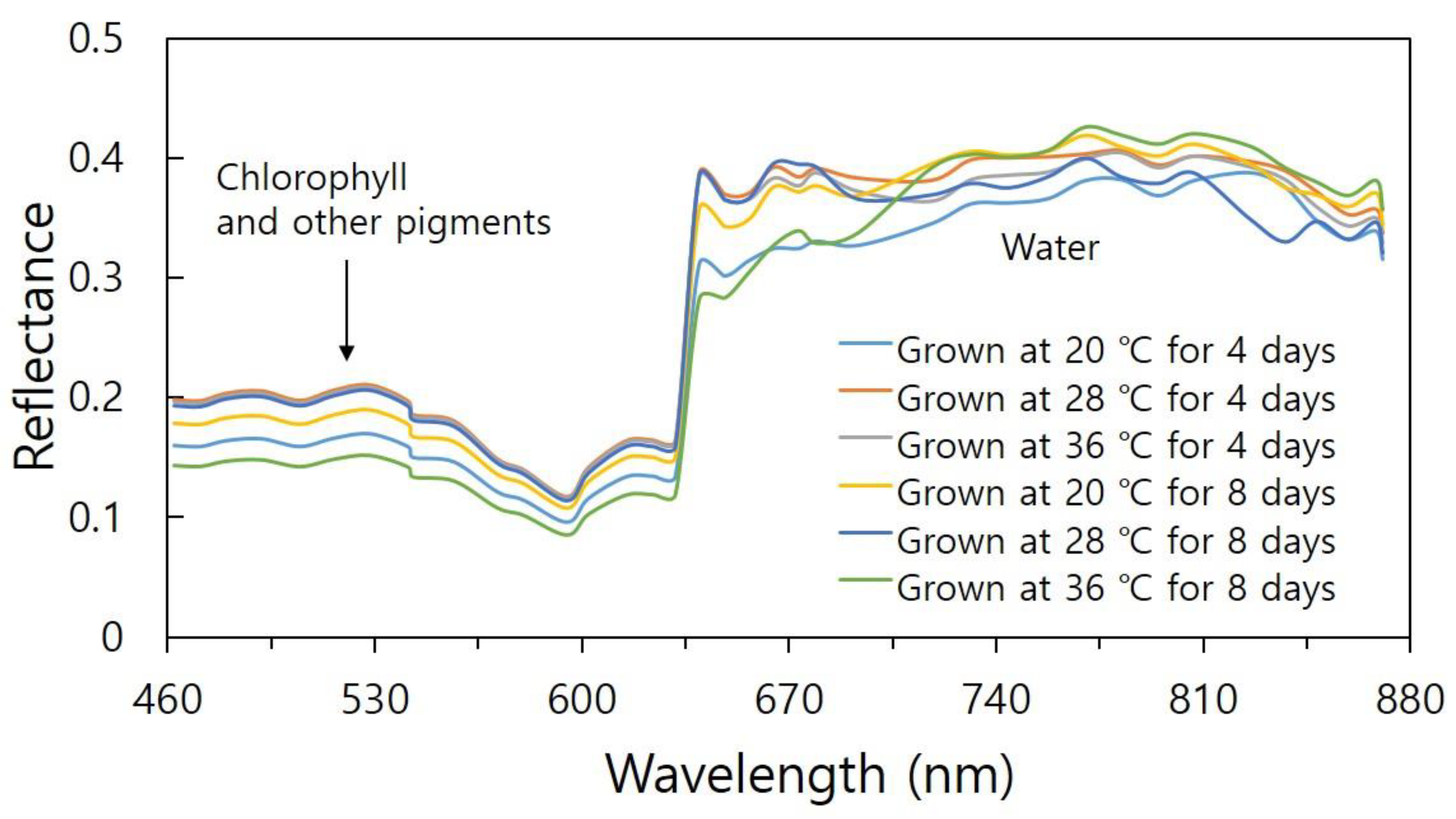 Applsci 12 09340 g003