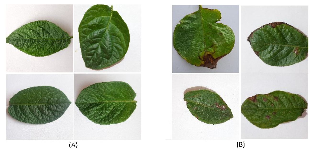 Applsci 12 09371 g003