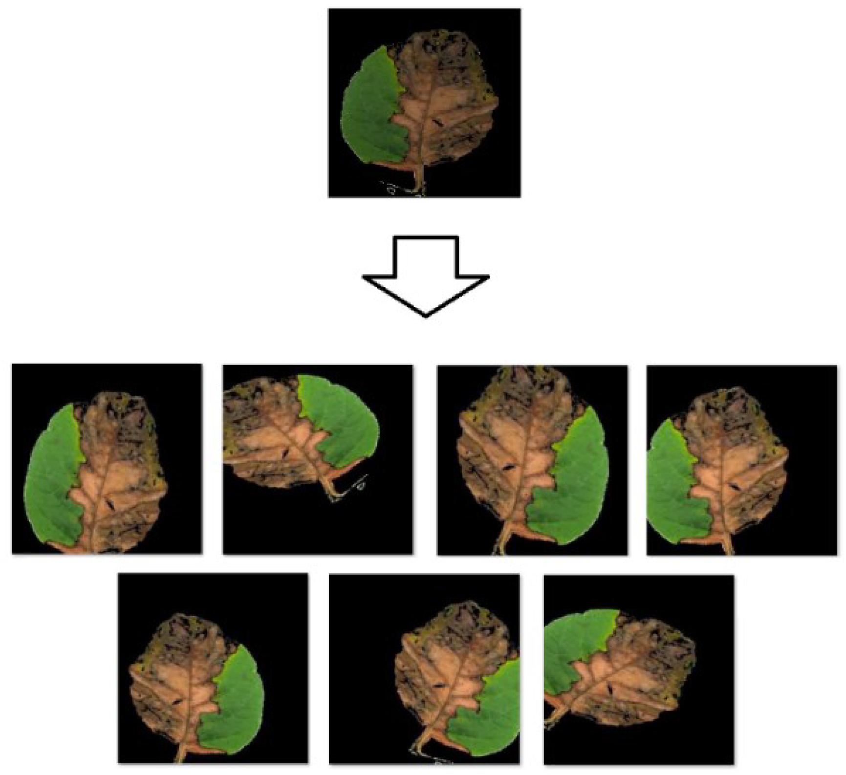 Applsci 12 09371 g004