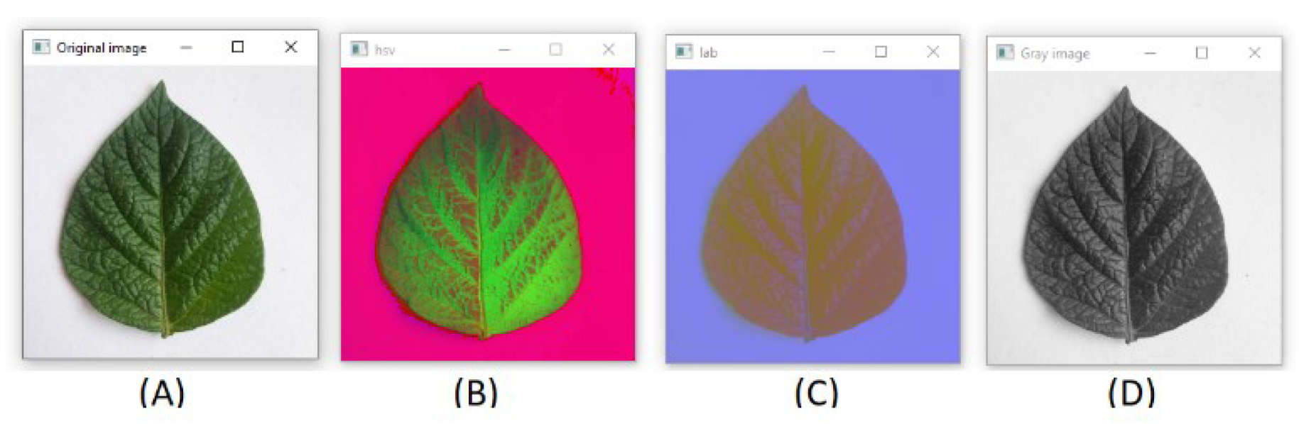 Applsci 12 09371 g005