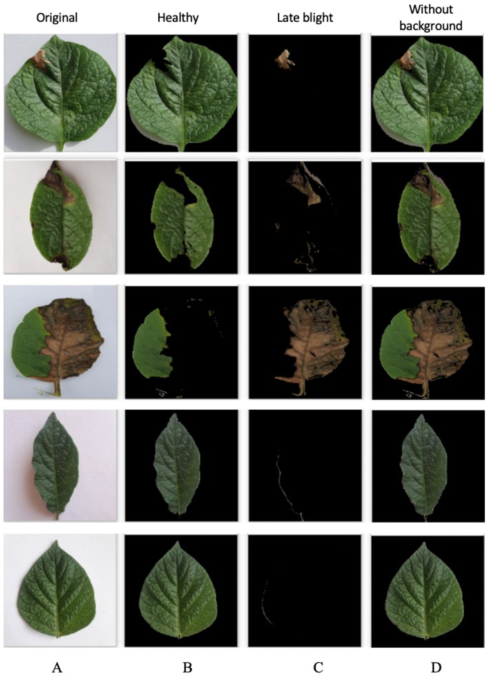 Applsci 12 09371 g007