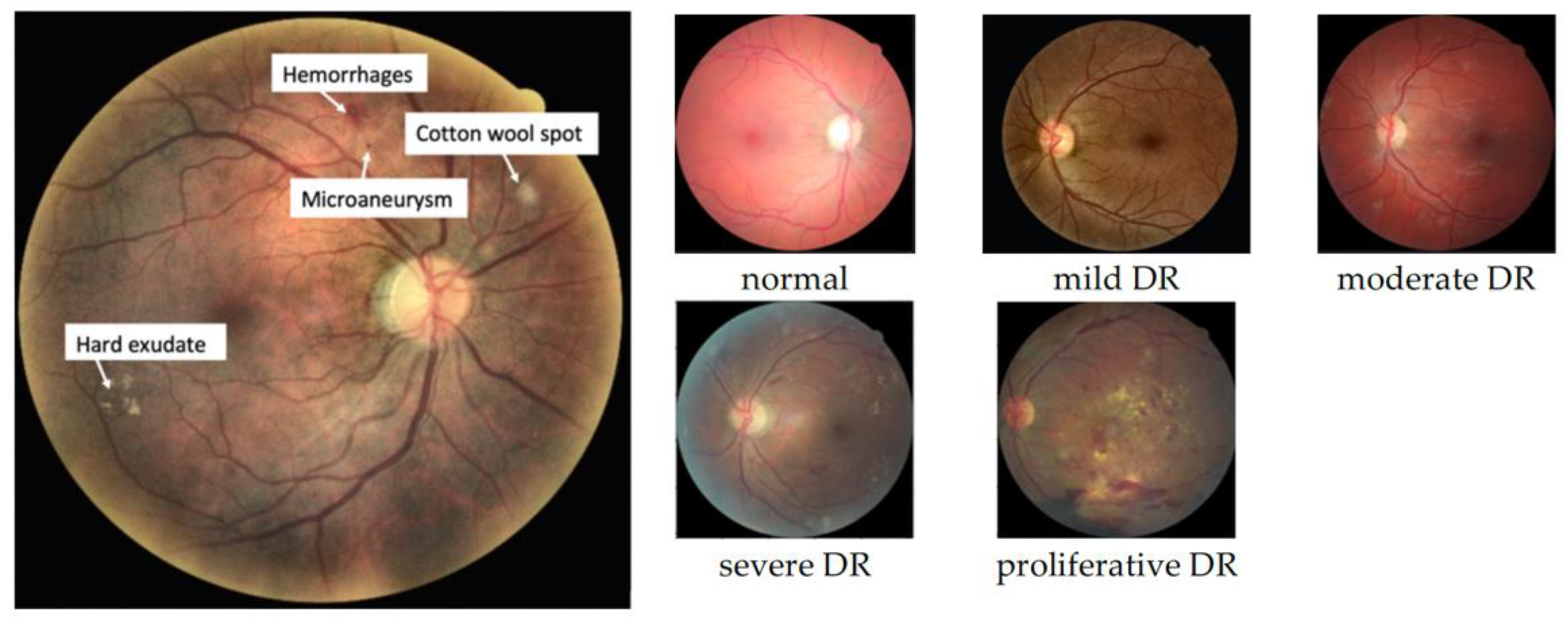 Applsci 12 09435 g001