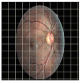 Applsci 12 09435 i001 Applsci 12 09435 i001