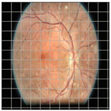 Applsci 12 09435 i005 Applsci 12 09435 i005