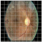 Applsci 12 09435 i009 Applsci 12 09435 i009