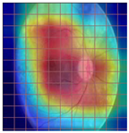 Applsci 12 09435 i011 Applsci 12 09435 i011