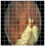 Applsci 12 09435 i013 Applsci 12 09435 i013