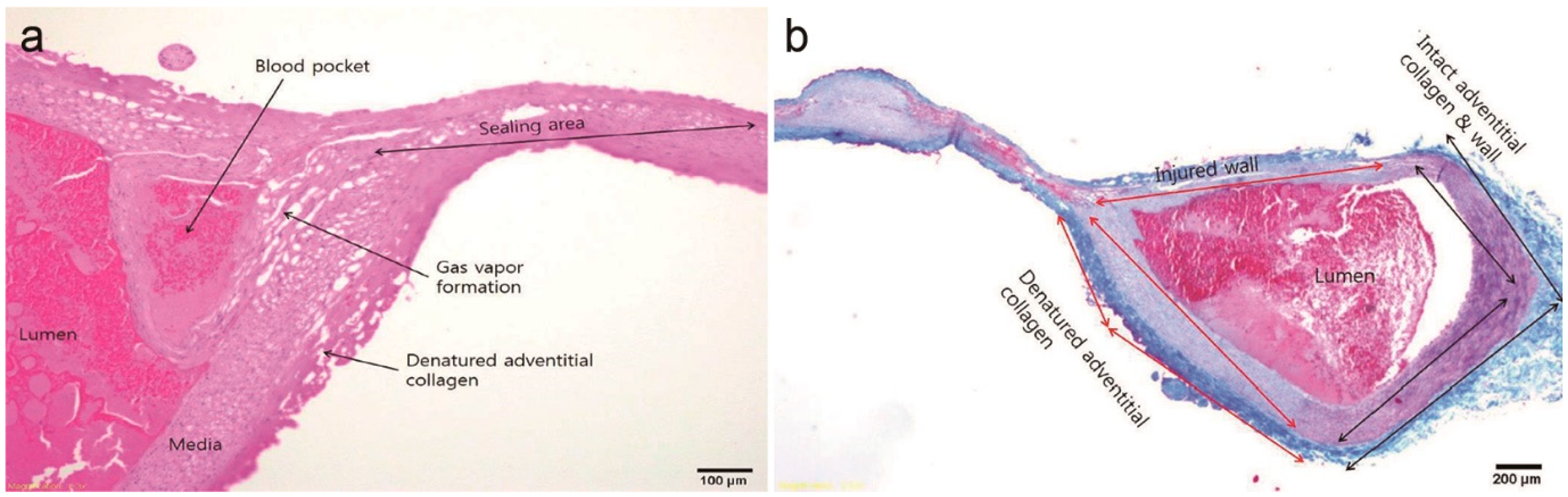 Applsci 12 09490 g002