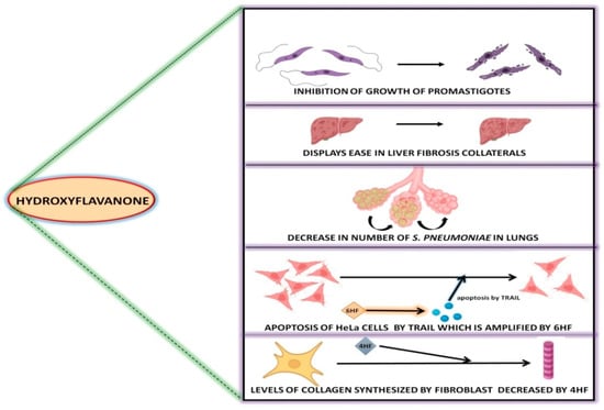 Applsci 12 09543 g005
