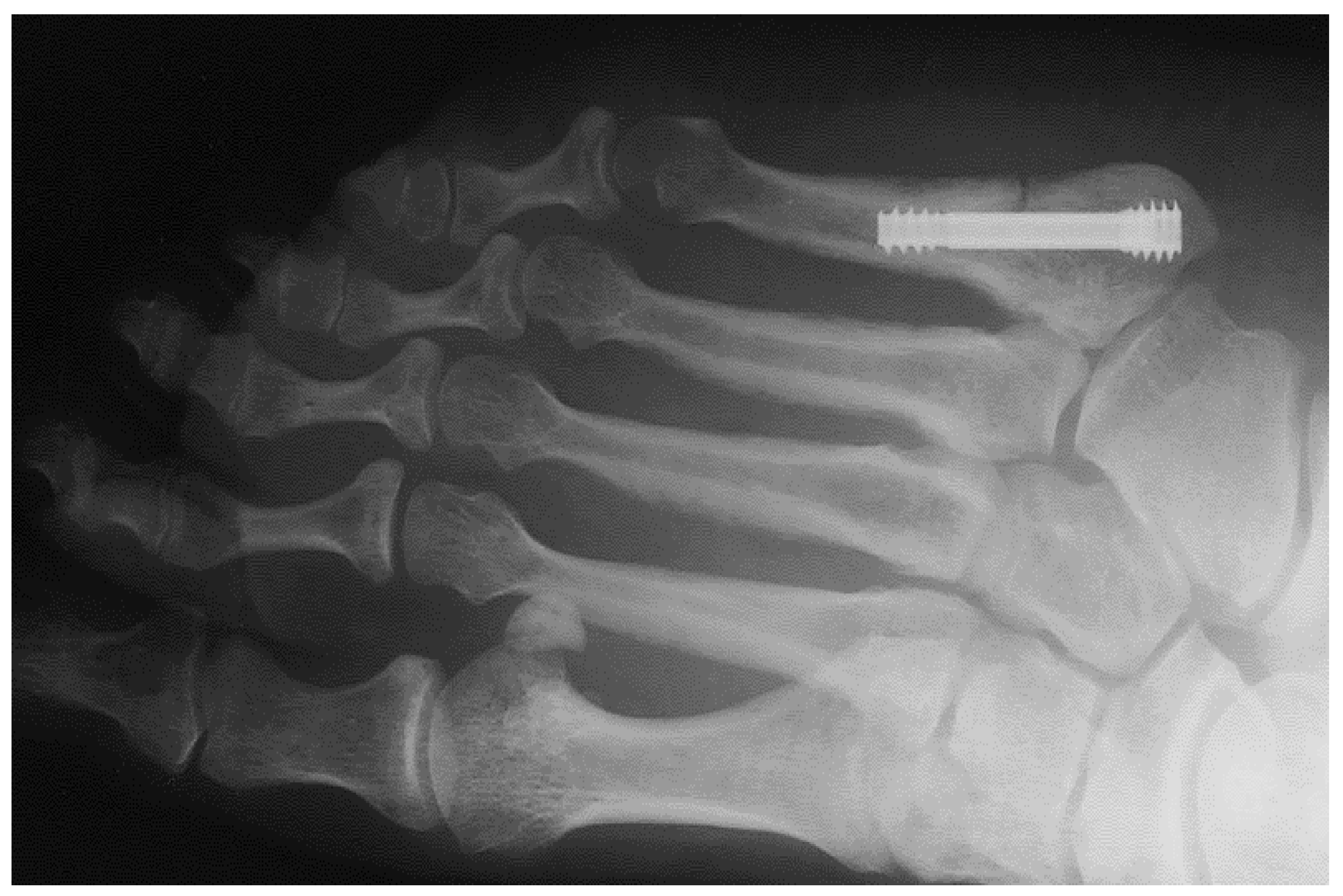 Applsci 12 09615 g001 Applsci 12 09615 g001