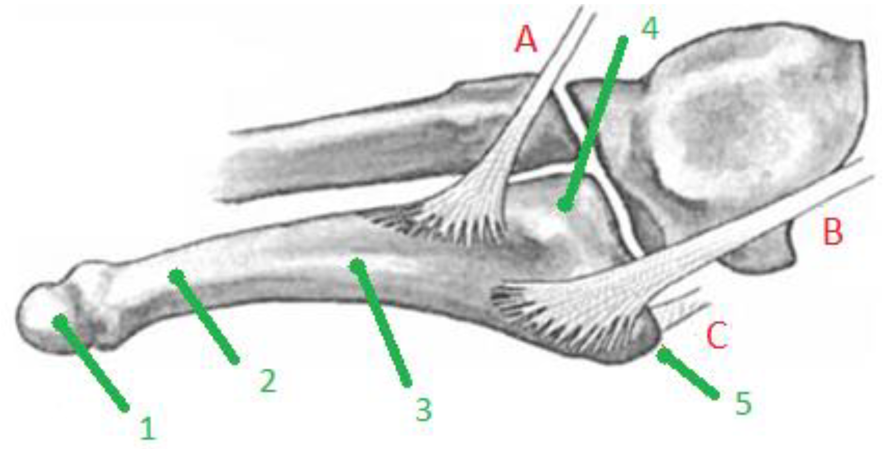 Applsci 12 09615 g002 Applsci 12 09615 g002