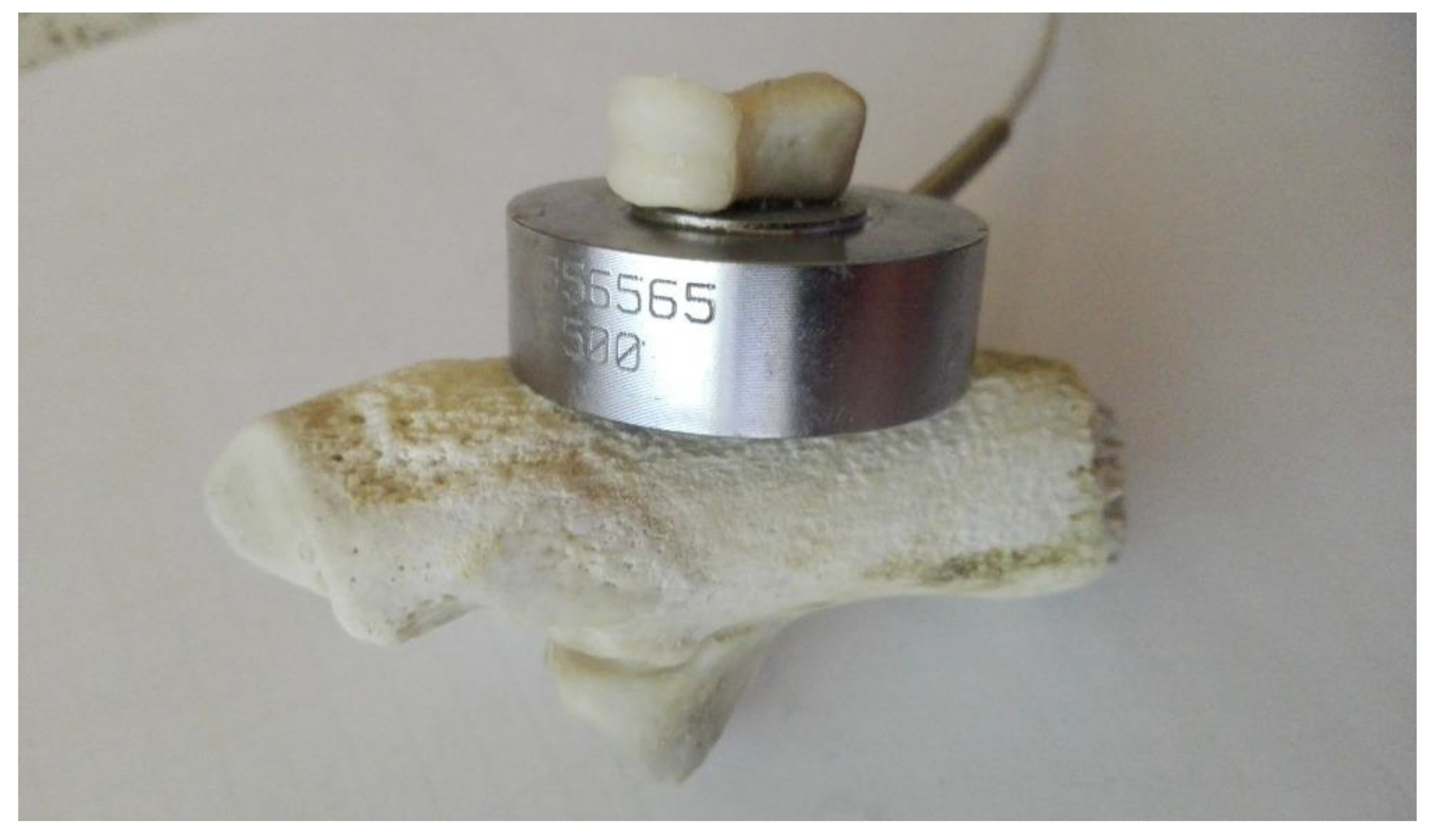 Applsci 12 09615 g012 Applsci 12 09615 g012