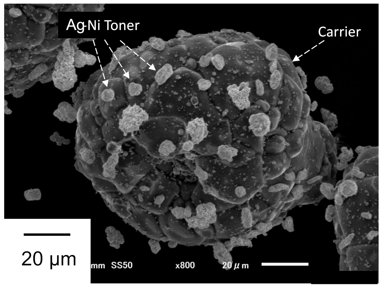 Applsci 12 09616 g003 Applsci 12 09616 g003