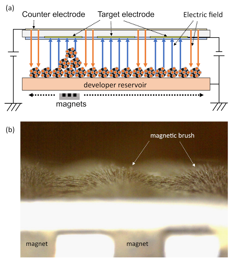 Applsci 12 09616 g005 Applsci 12 09616 g005