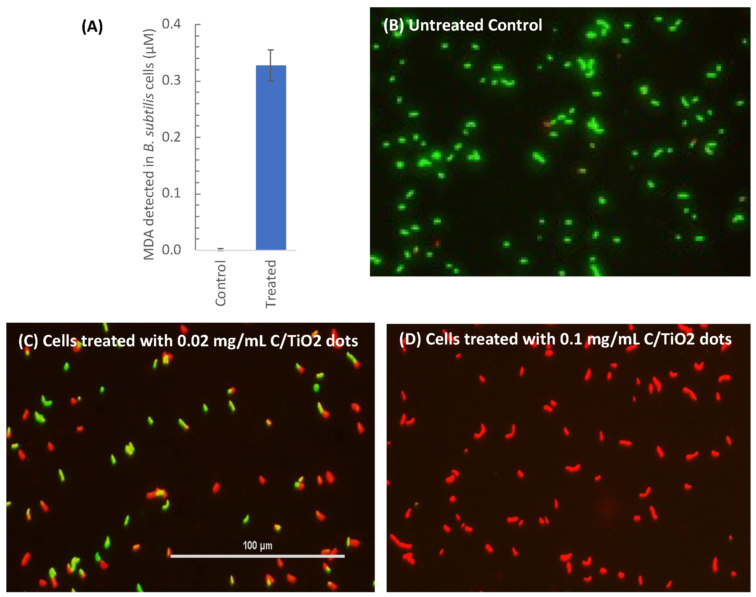 Applsci 12 09633 g005
