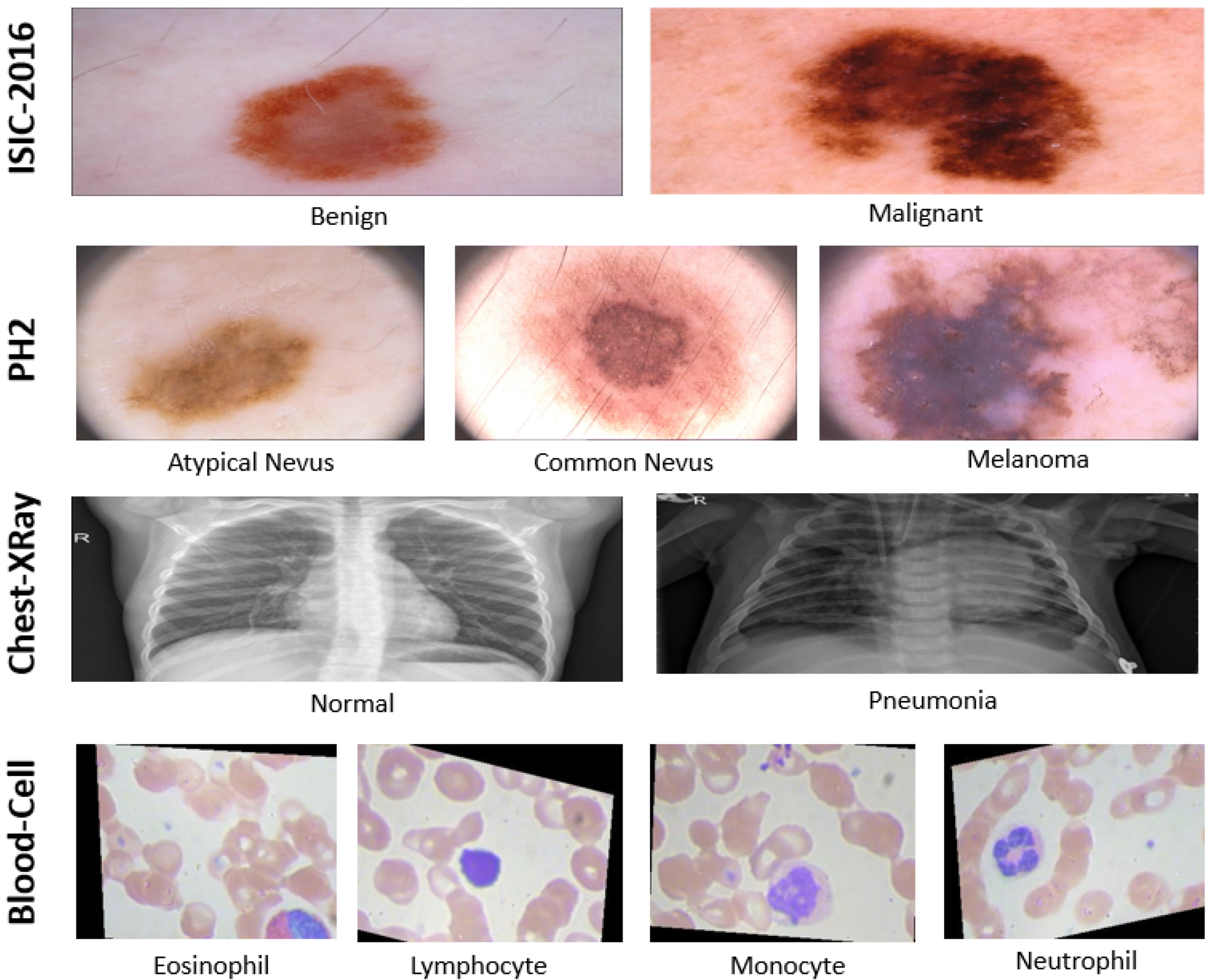 Applsci 12 09710 g005