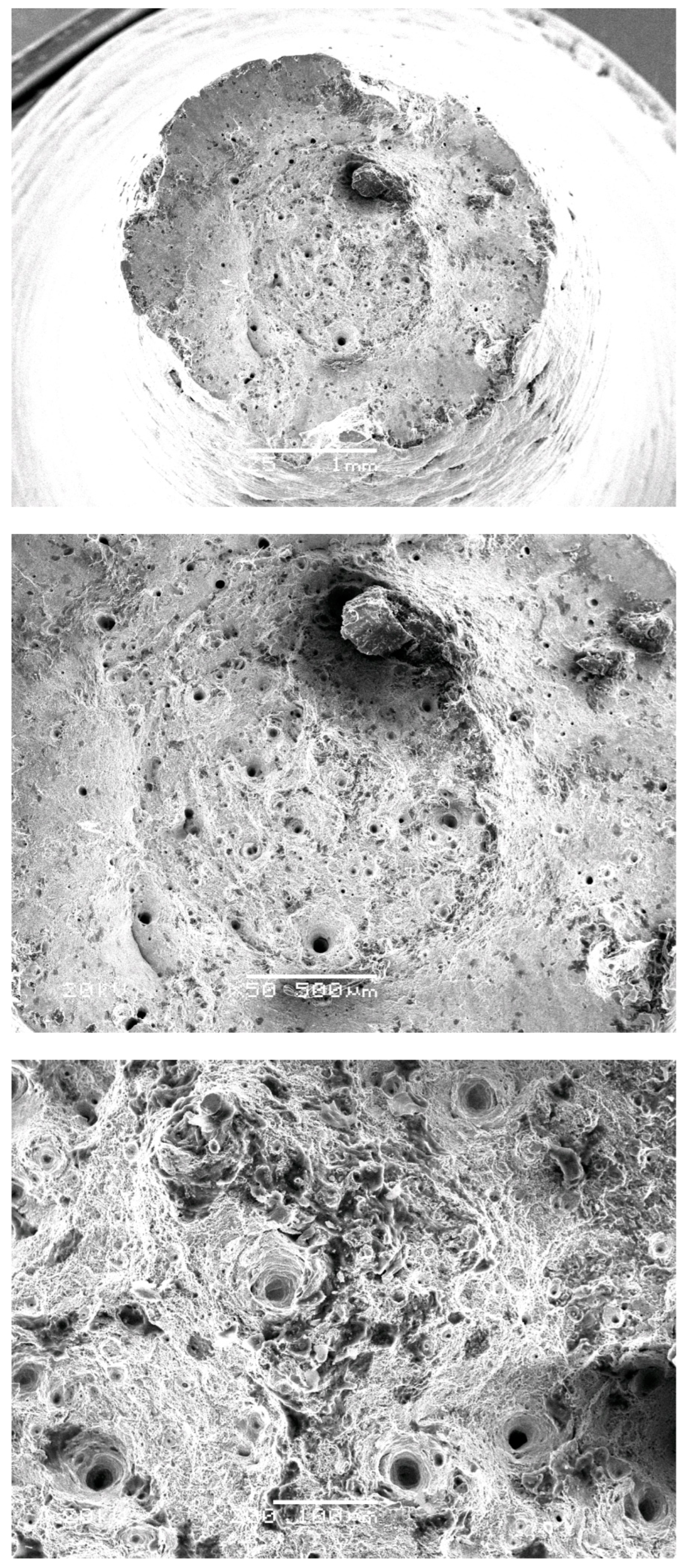 Applsci 12 09786 g005