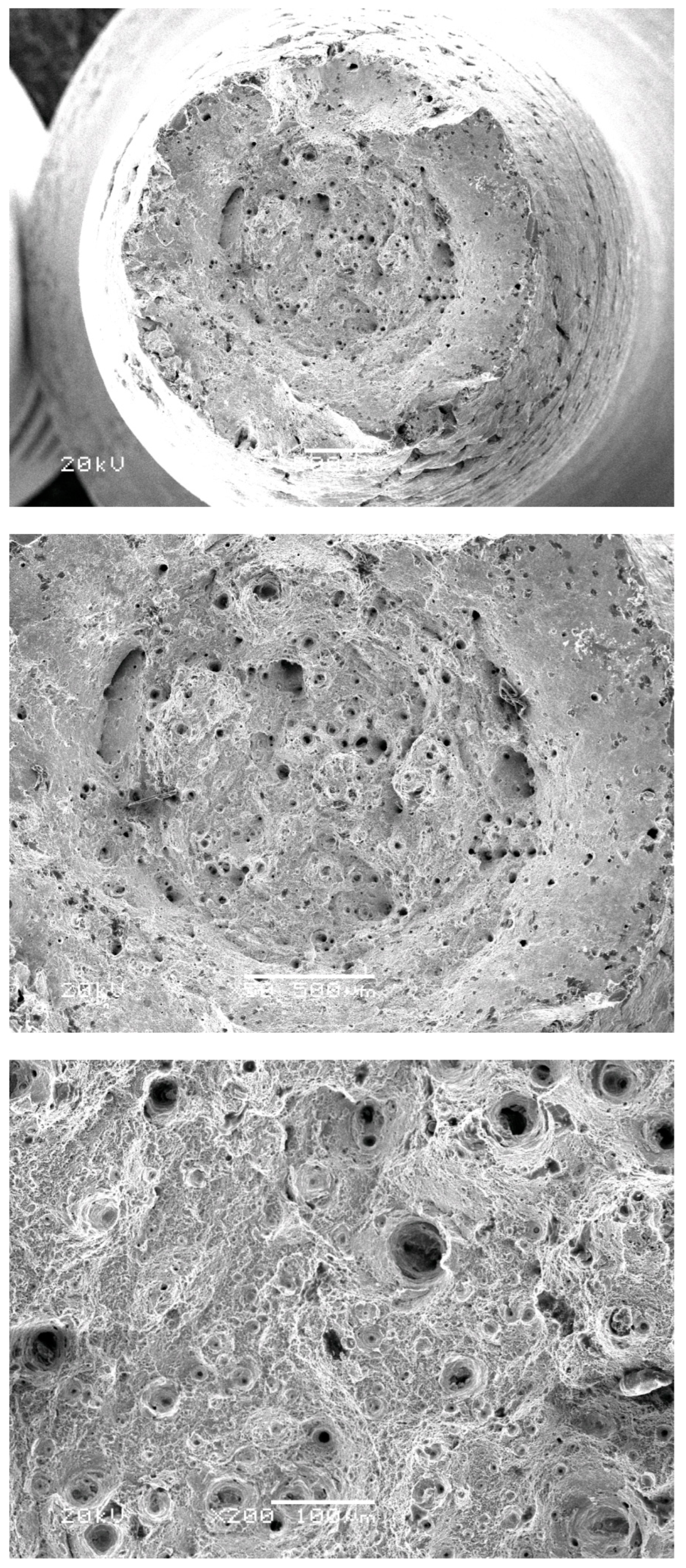 Applsci 12 09786 g006