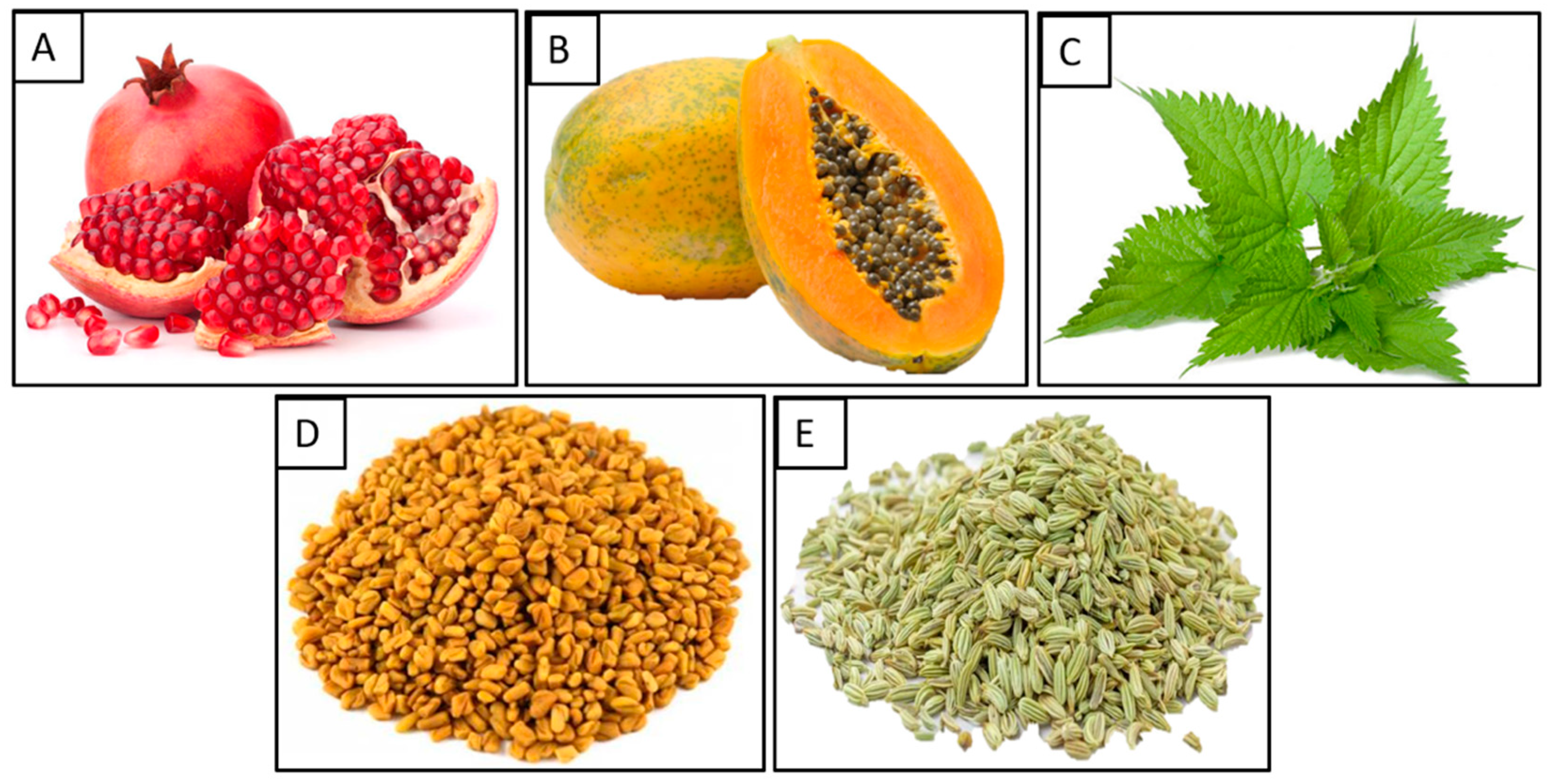 Applsci 12 09822 g001