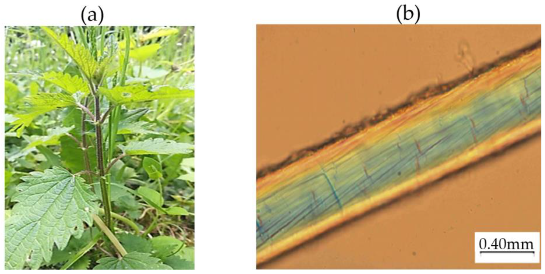 Applsci 12 09835 g001 Applsci 12 09835 g001