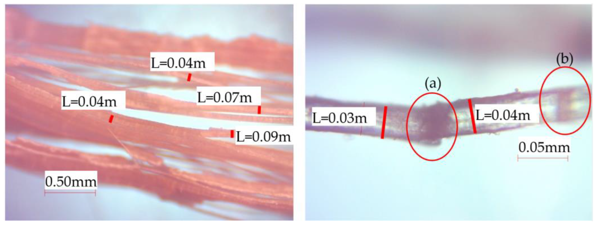 Applsci 12 09835 g003 Applsci 12 09835 g003