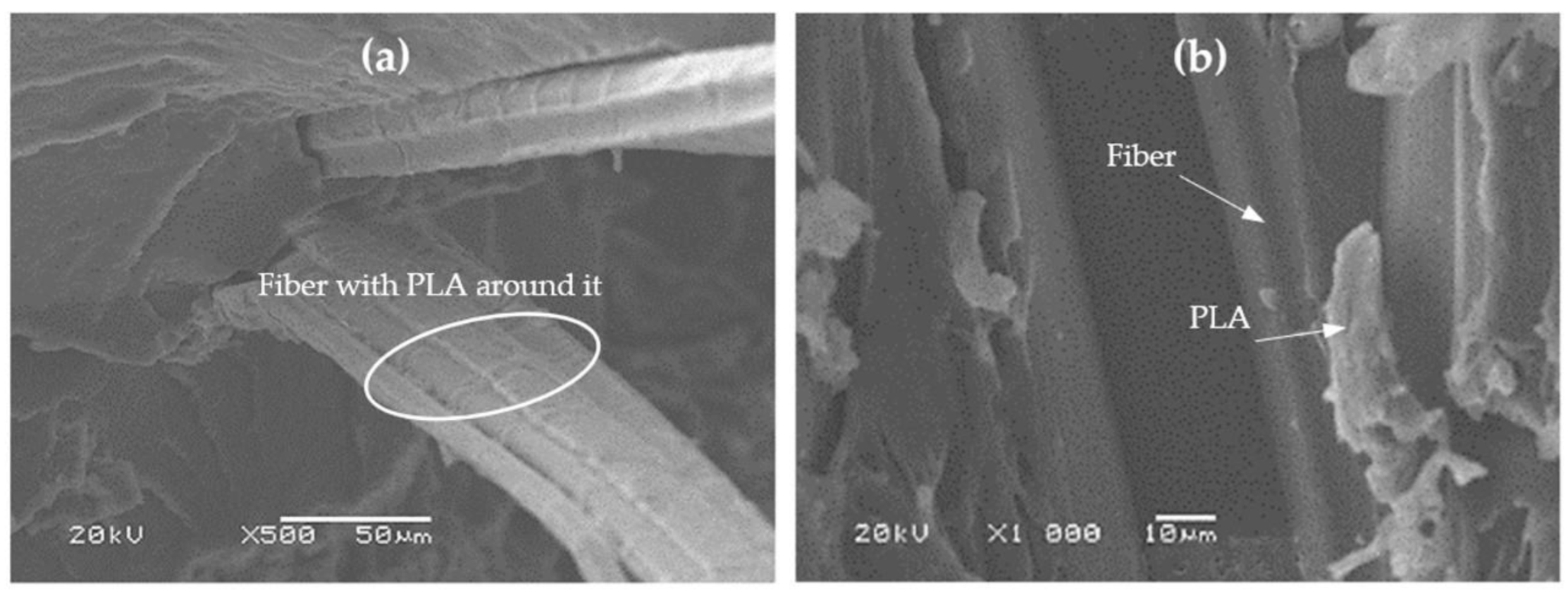 Applsci 12 09835 g009 Applsci 12 09835 g009