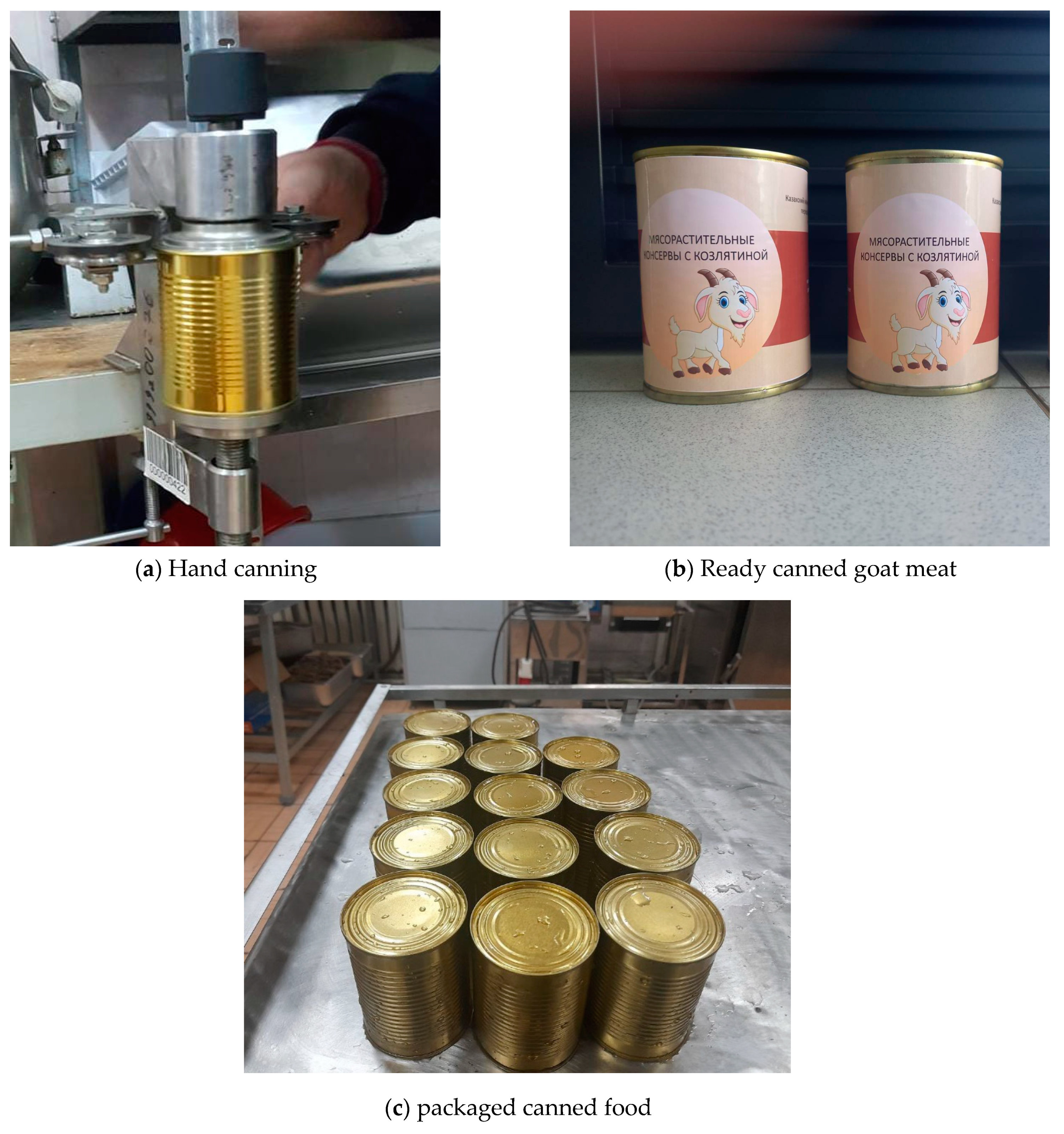 Applsci 12 09911 g001