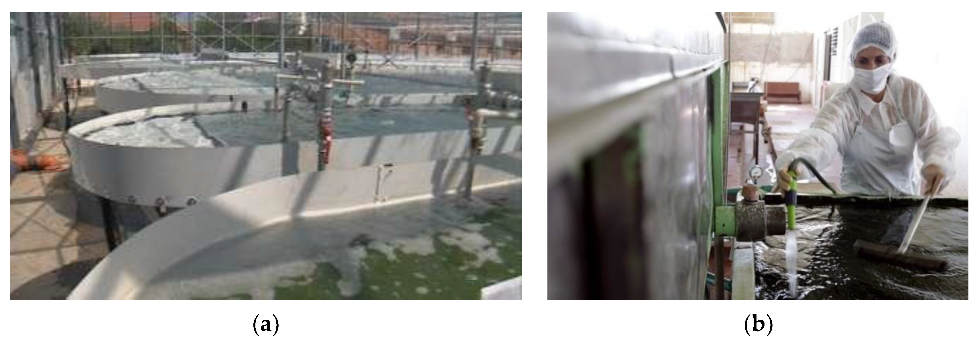 Applsci 12 09935 g001