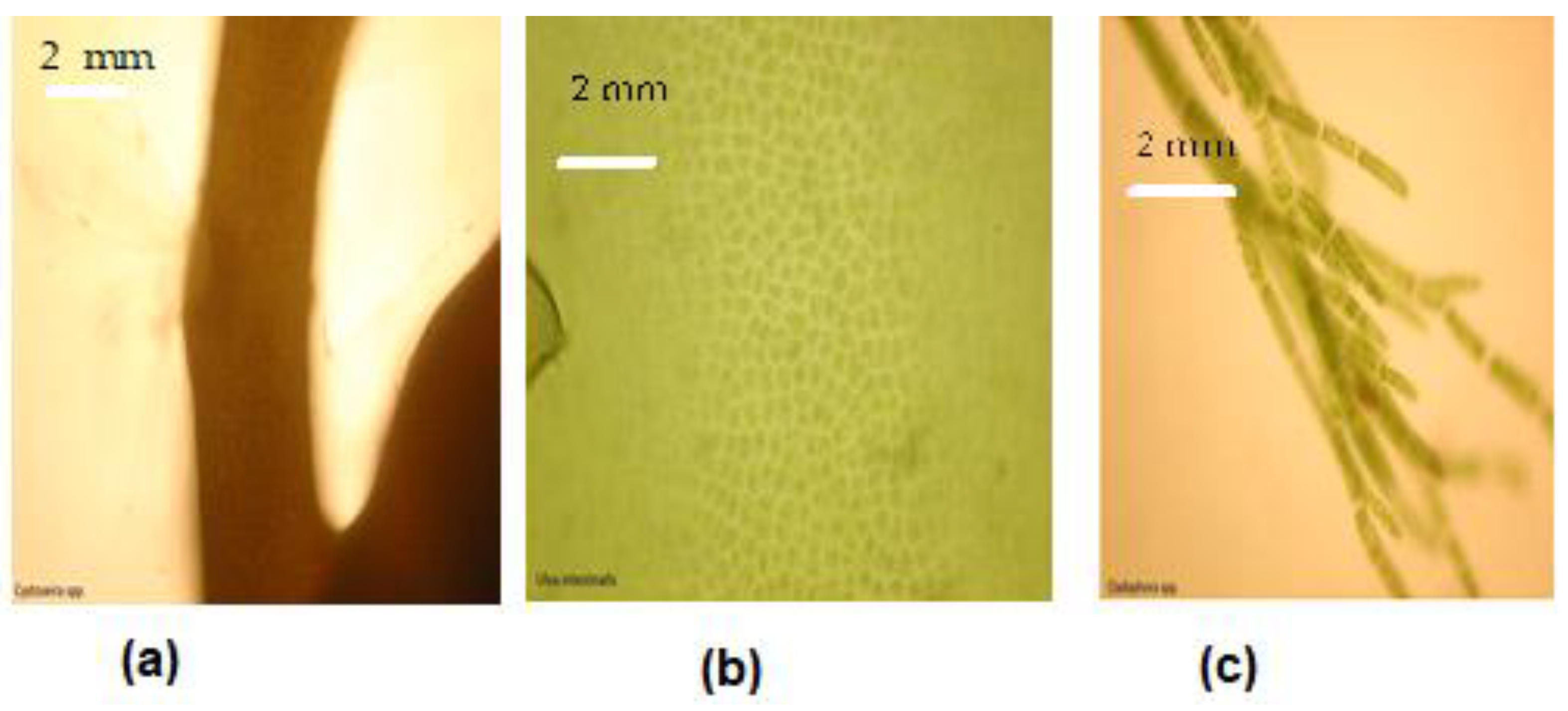 Applsci 12 09935 g002