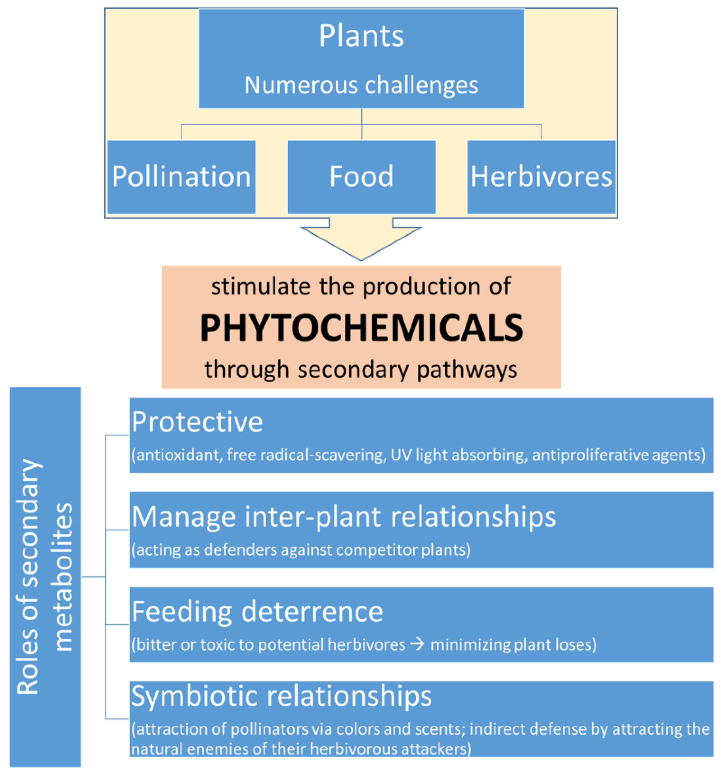 Applsci 12 09937 g001