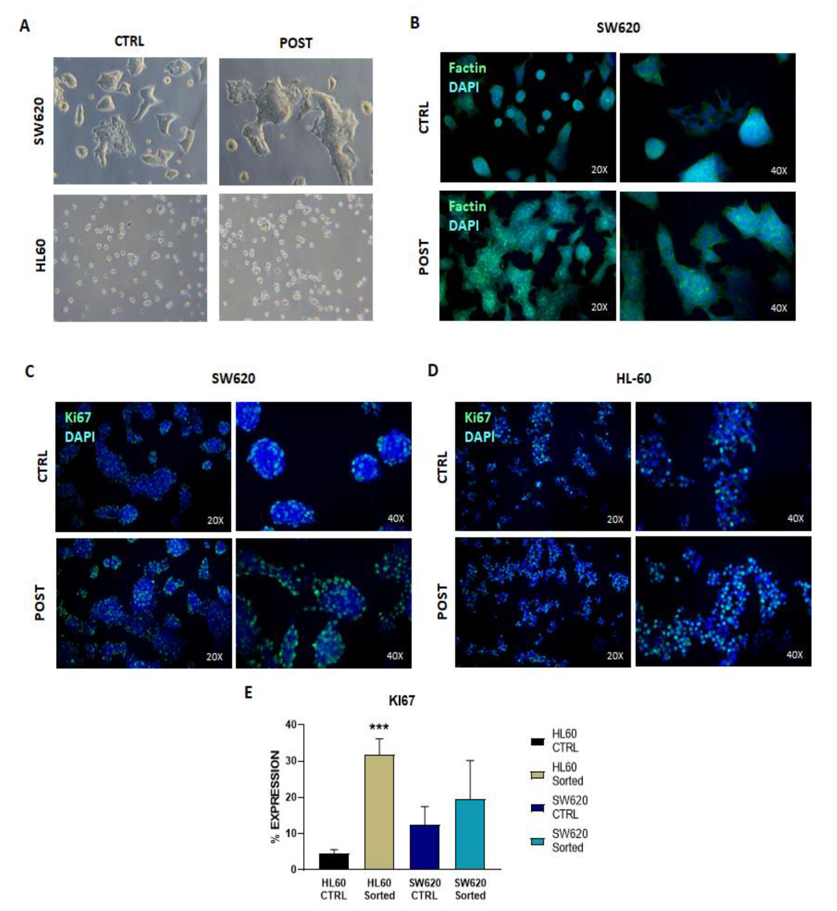 Applsci 12 09967 g004