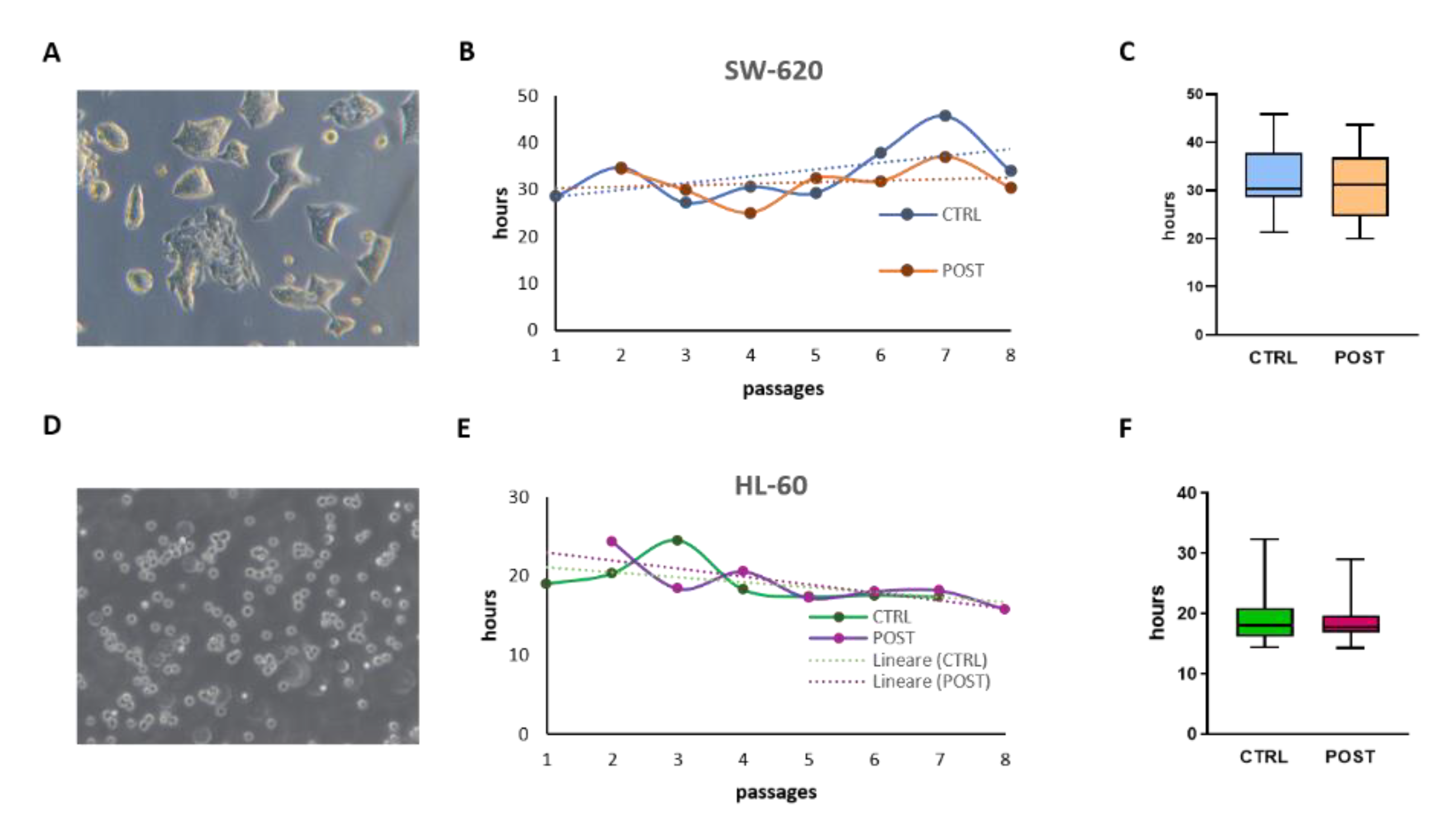 Applsci 12 09967 g005