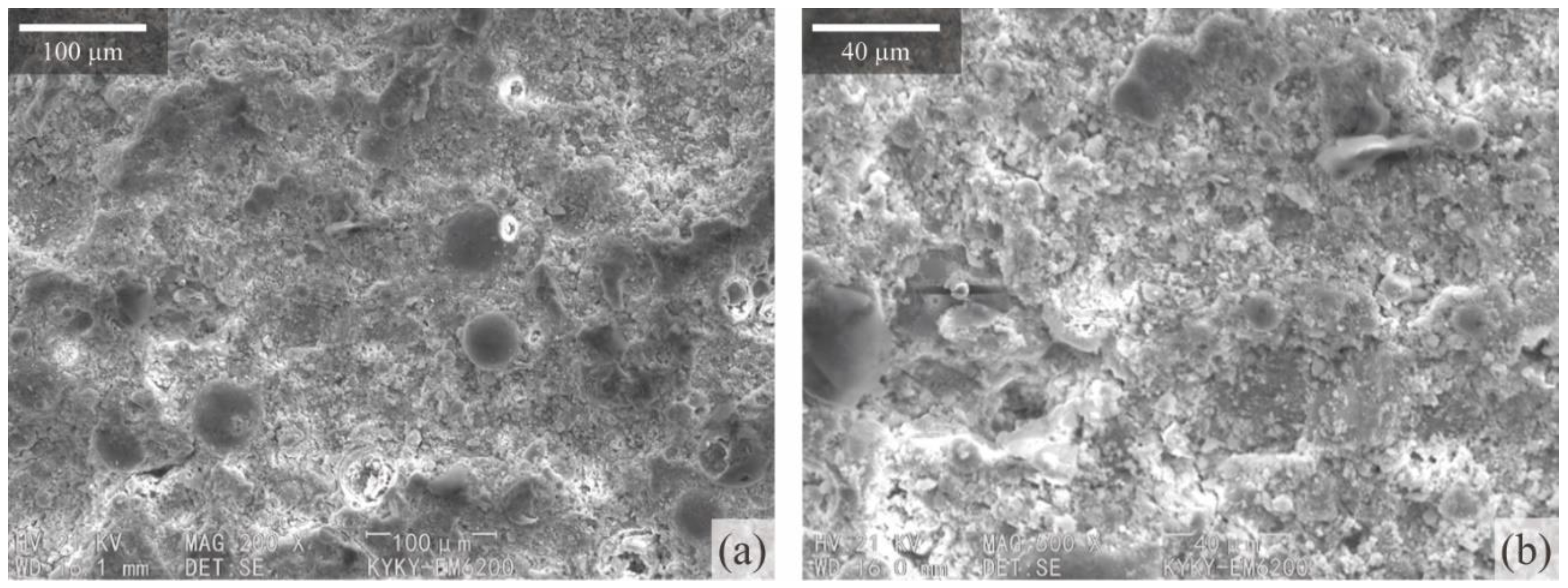 Applsci 12 10000 g005