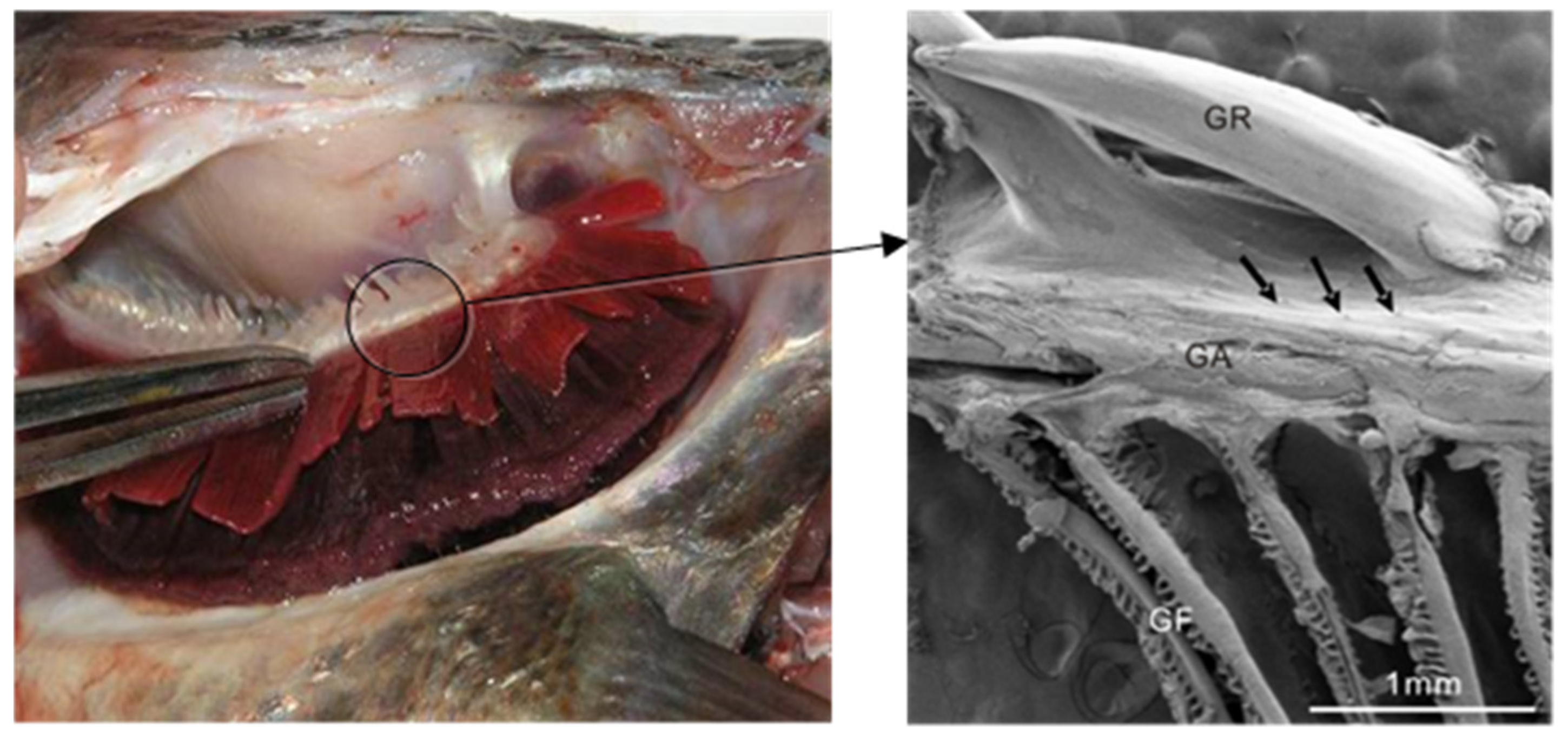 Applsci 12 10003 g001