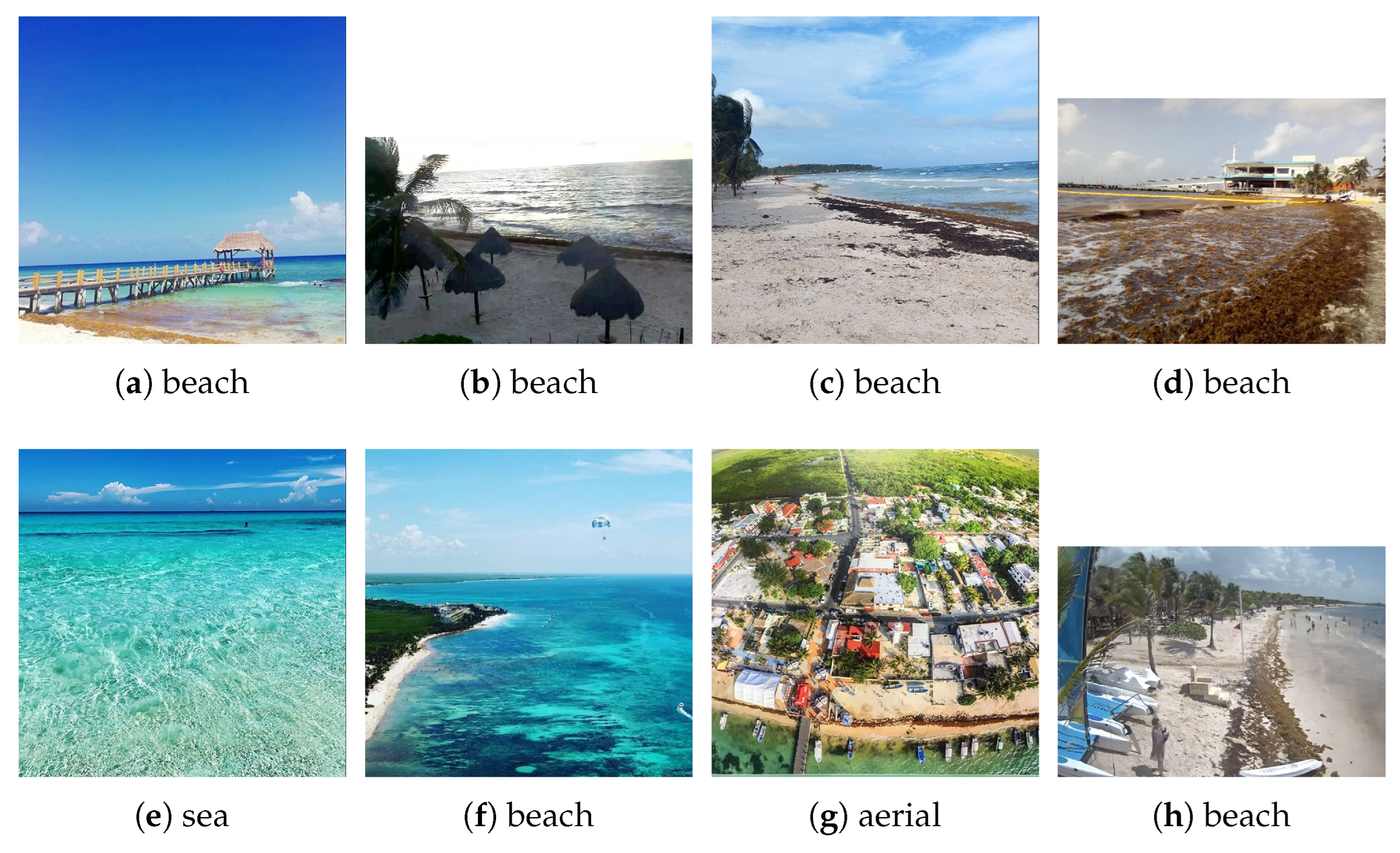 Applsci 12 10012 g001