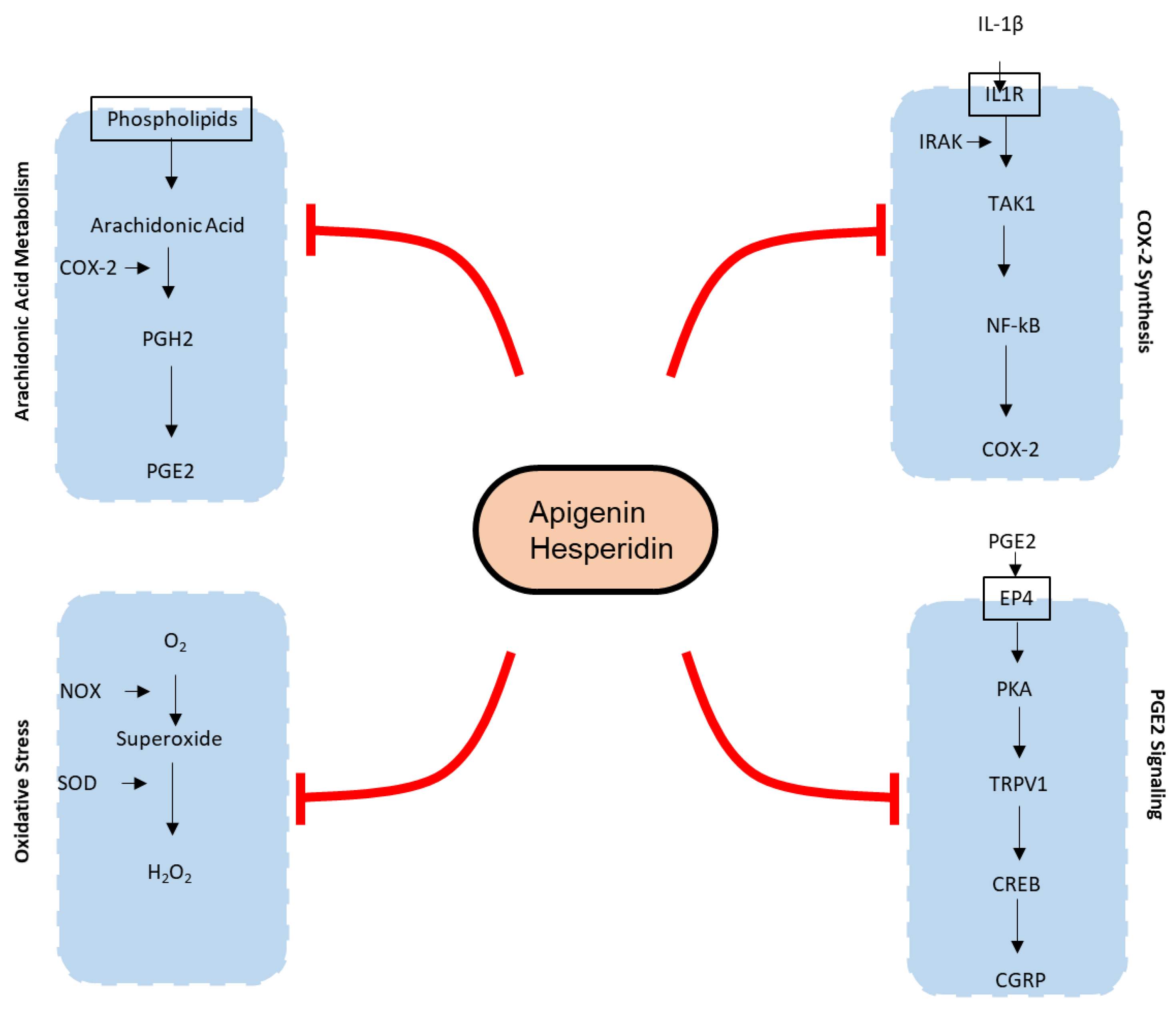 Applsci 12 10013 g002