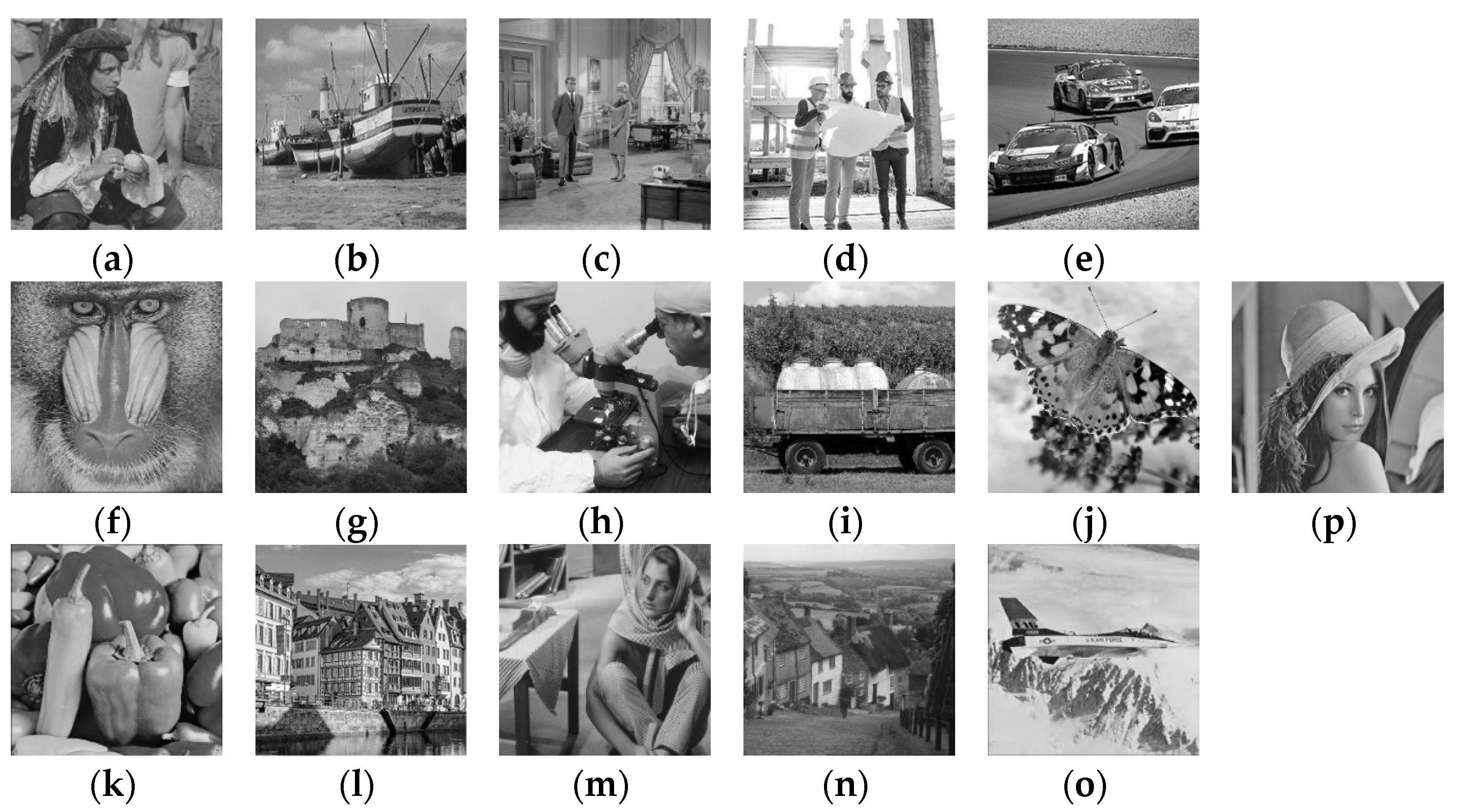 Applsci 12 10096 g009