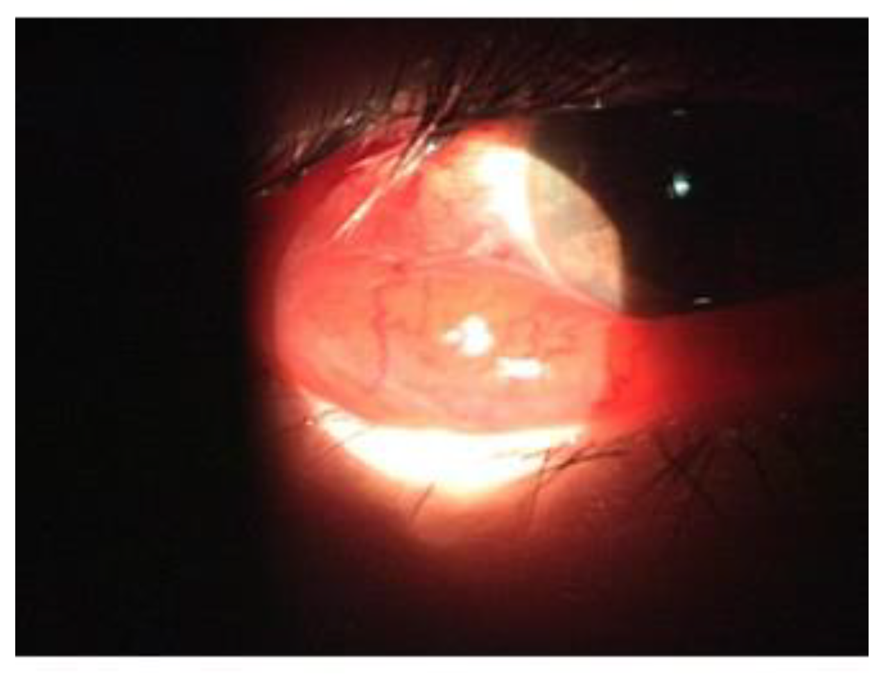 Applsci 12 10103 g002