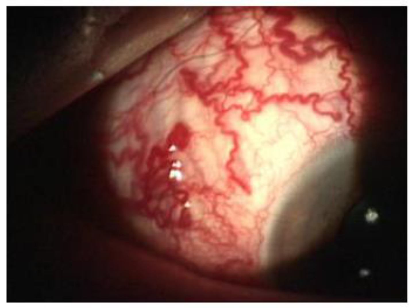 Applsci 12 10103 g003