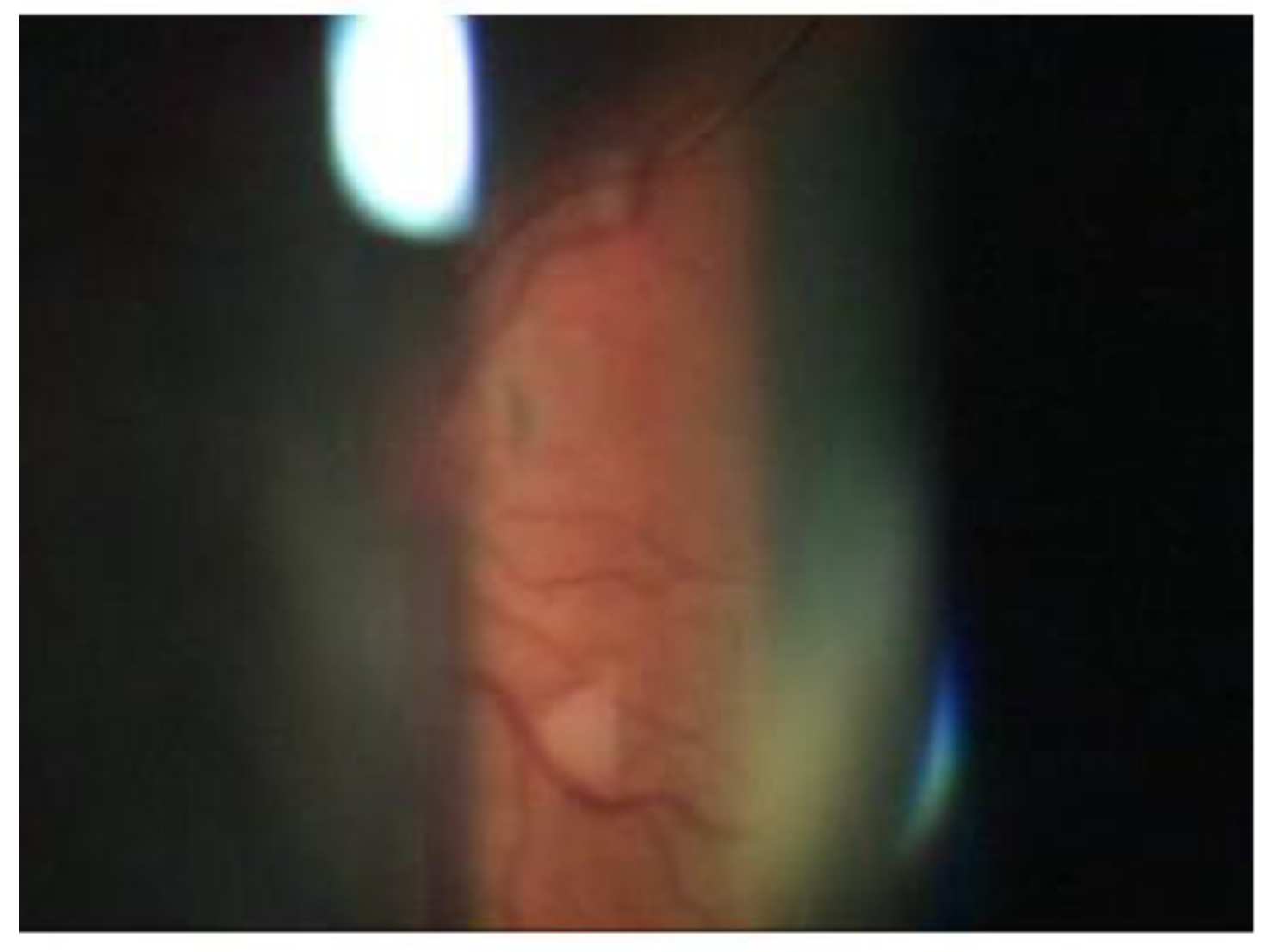 Applsci 12 10103 g004