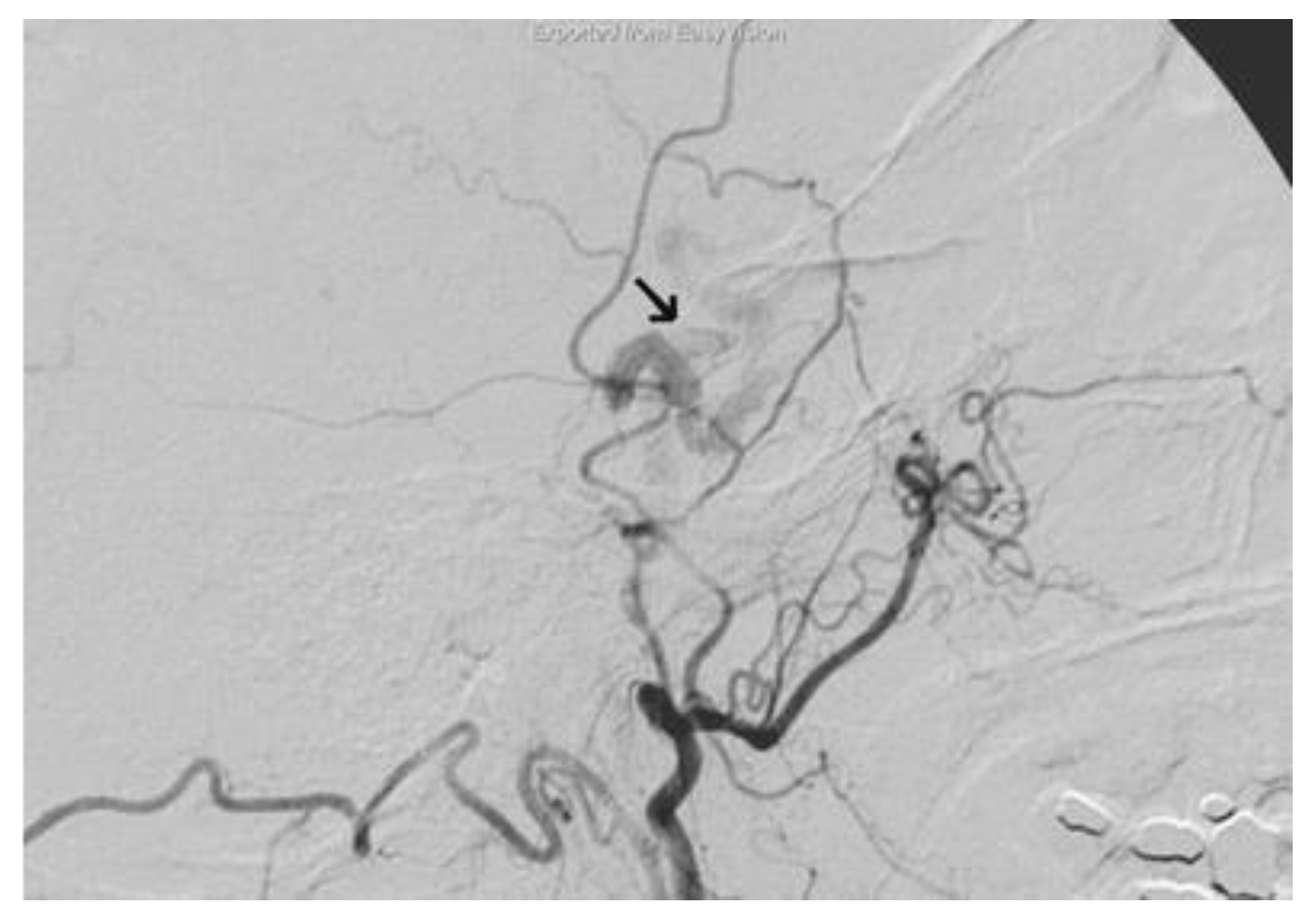 Applsci 12 10103 g005