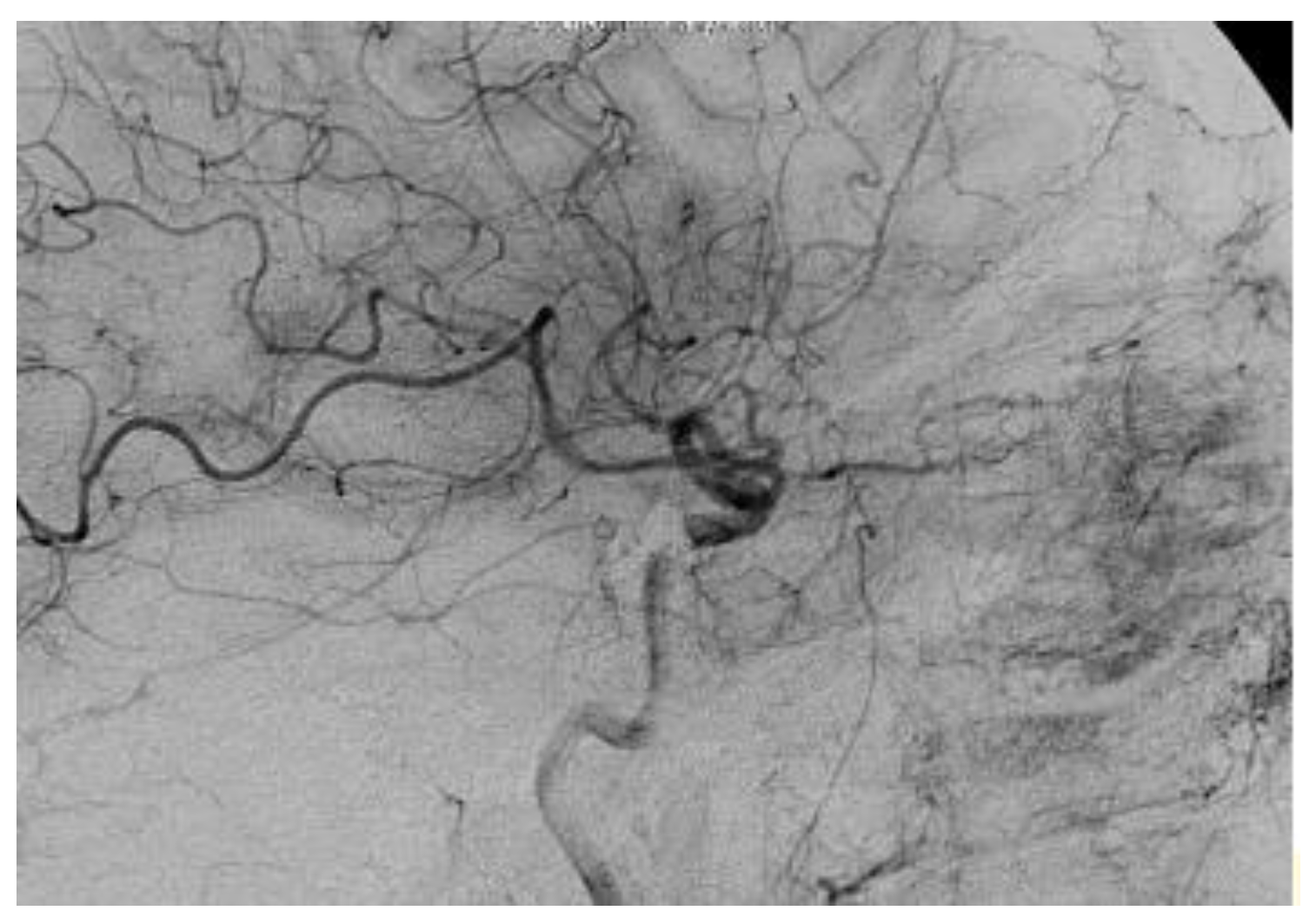 Applsci 12 10103 g006