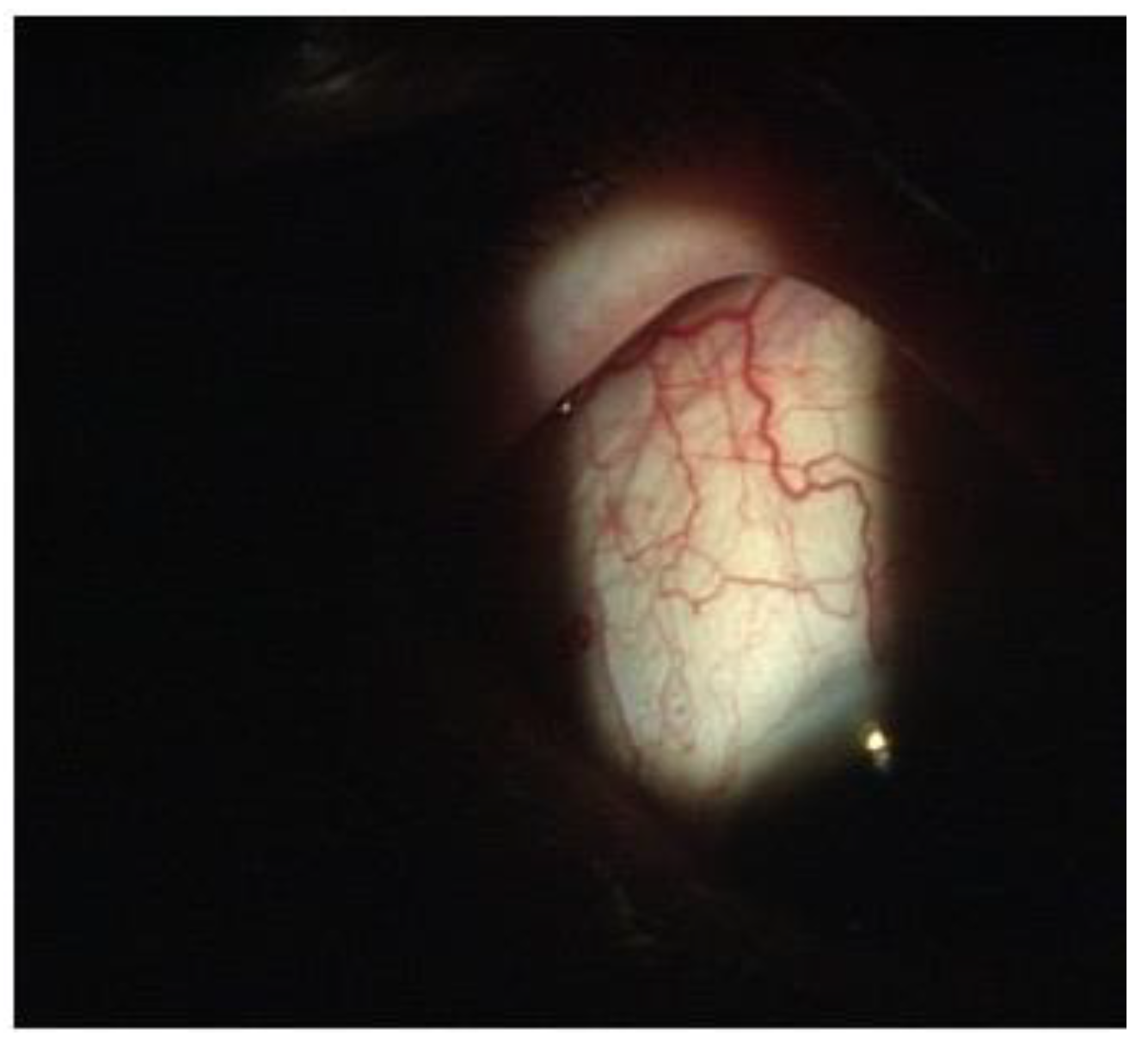 Applsci 12 10103 g007