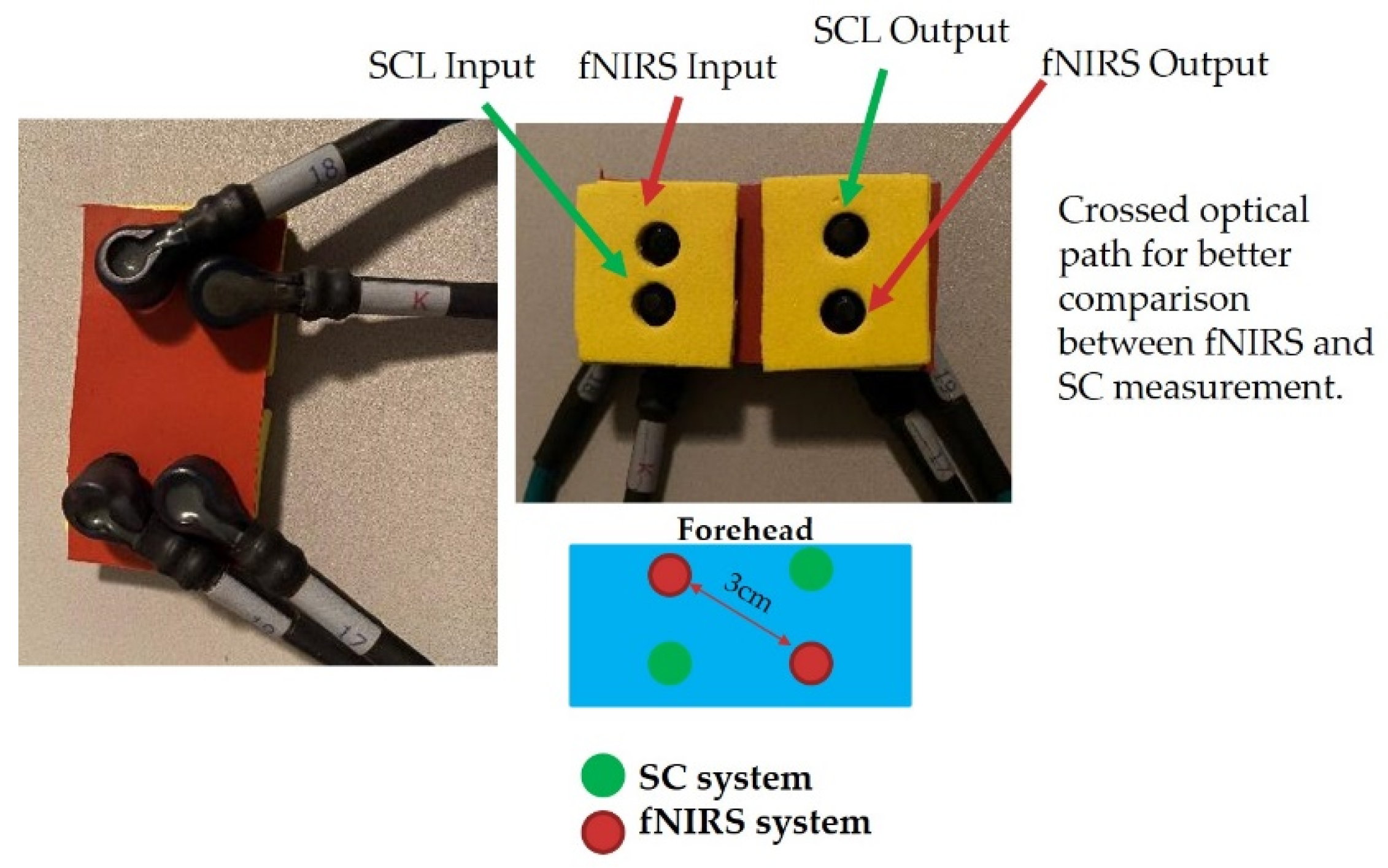 Applsci 12 10122 g012
