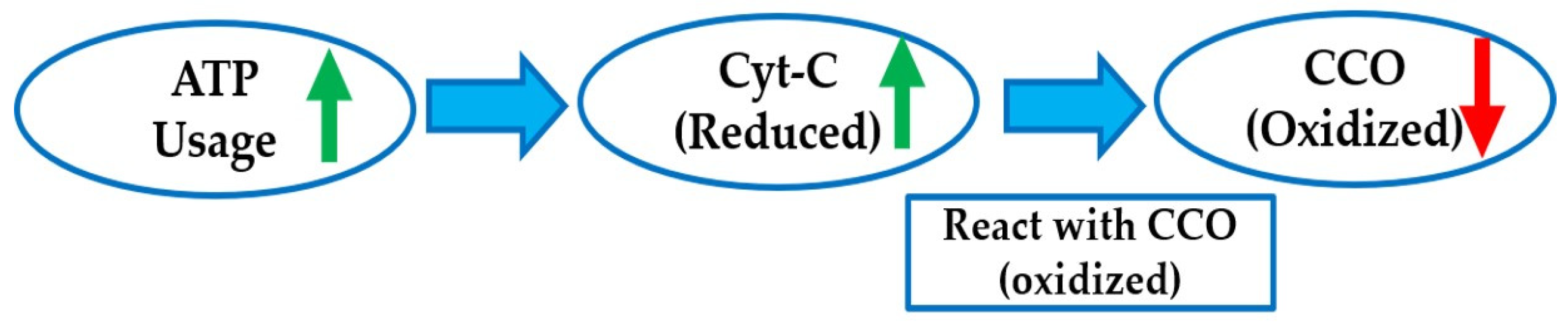 Applsci 12 10122 g020