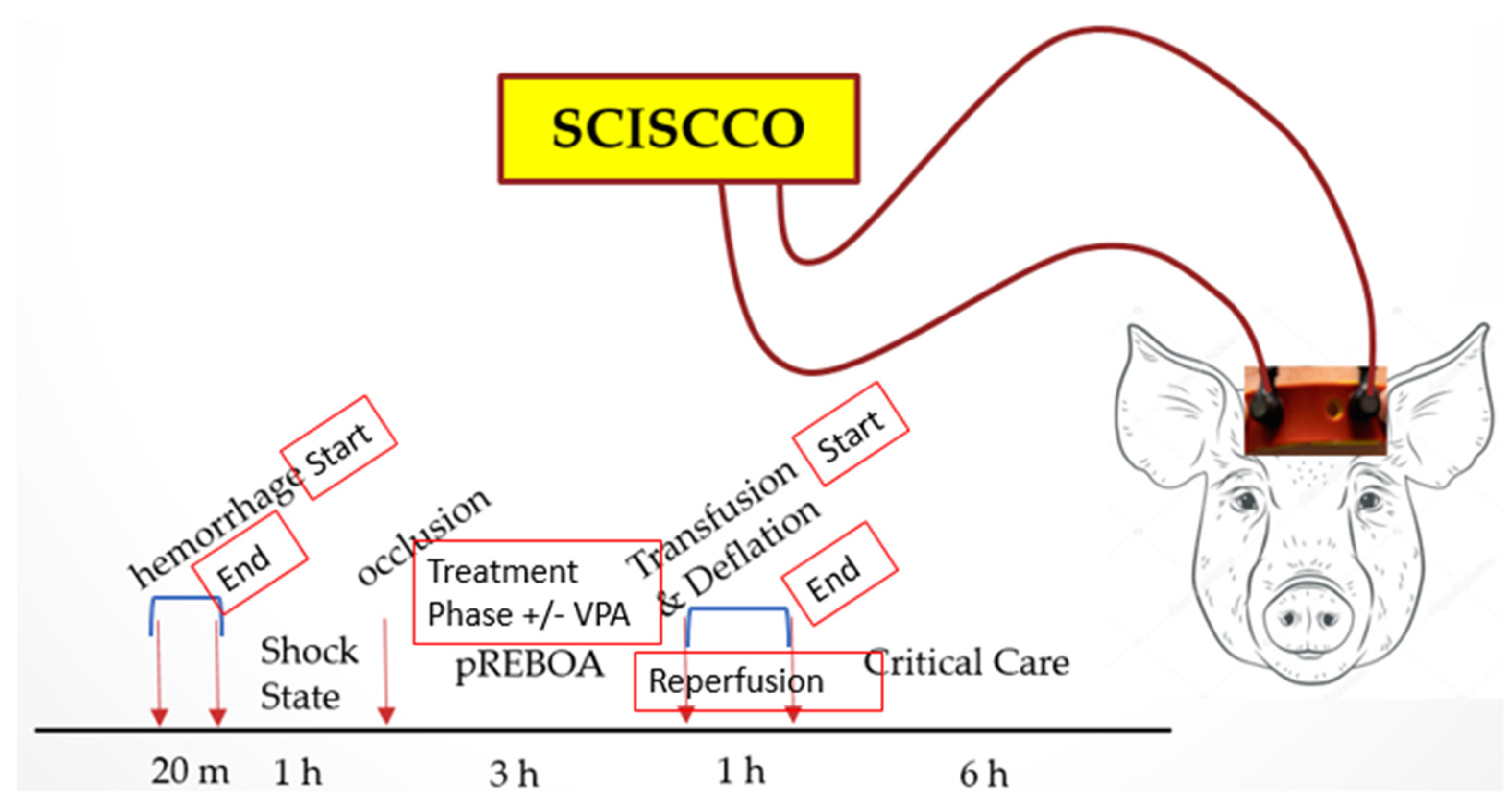Applsci 12 10122 g032