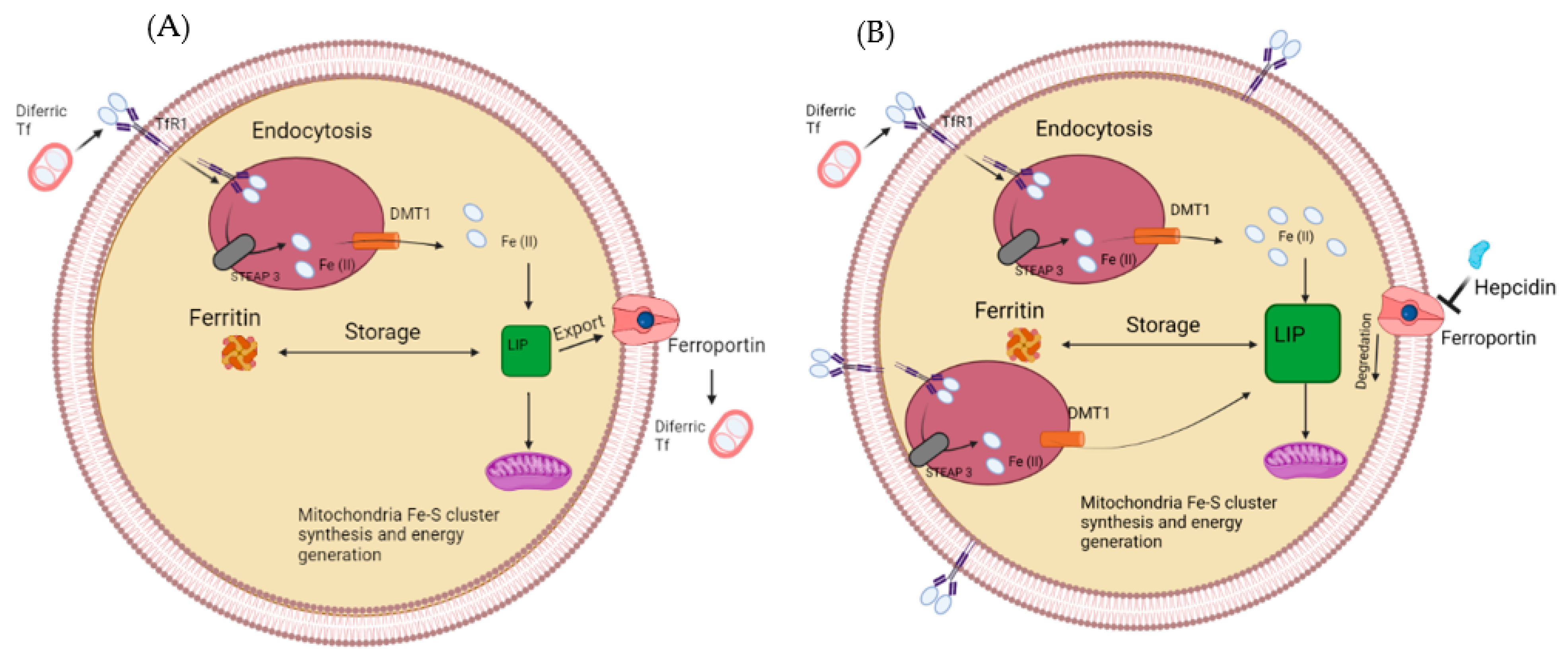 Applsci 12 10161 g004 Applsci 12 10161 g004