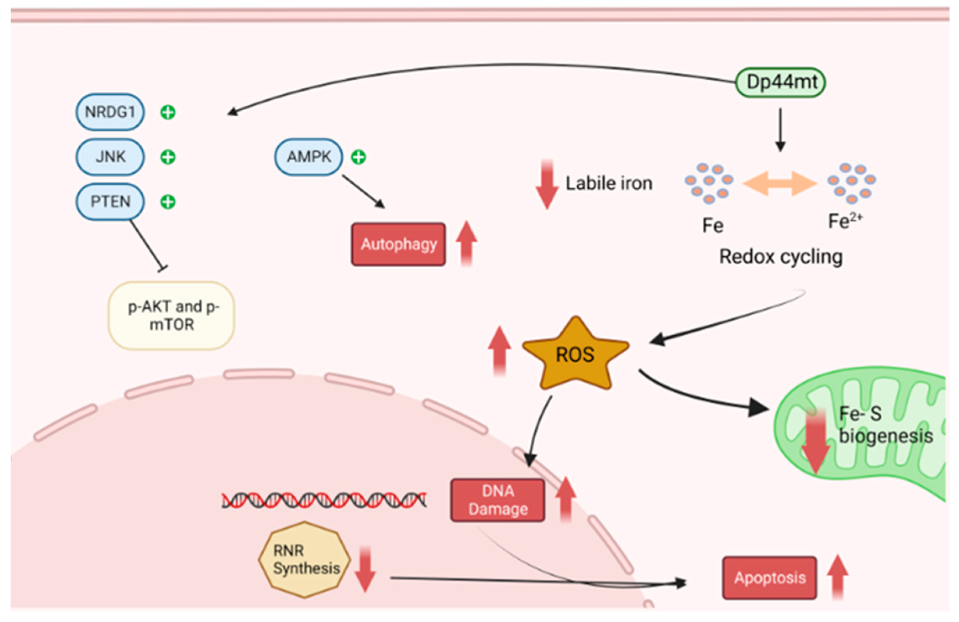 Applsci 12 10161 g005 Applsci 12 10161 g005