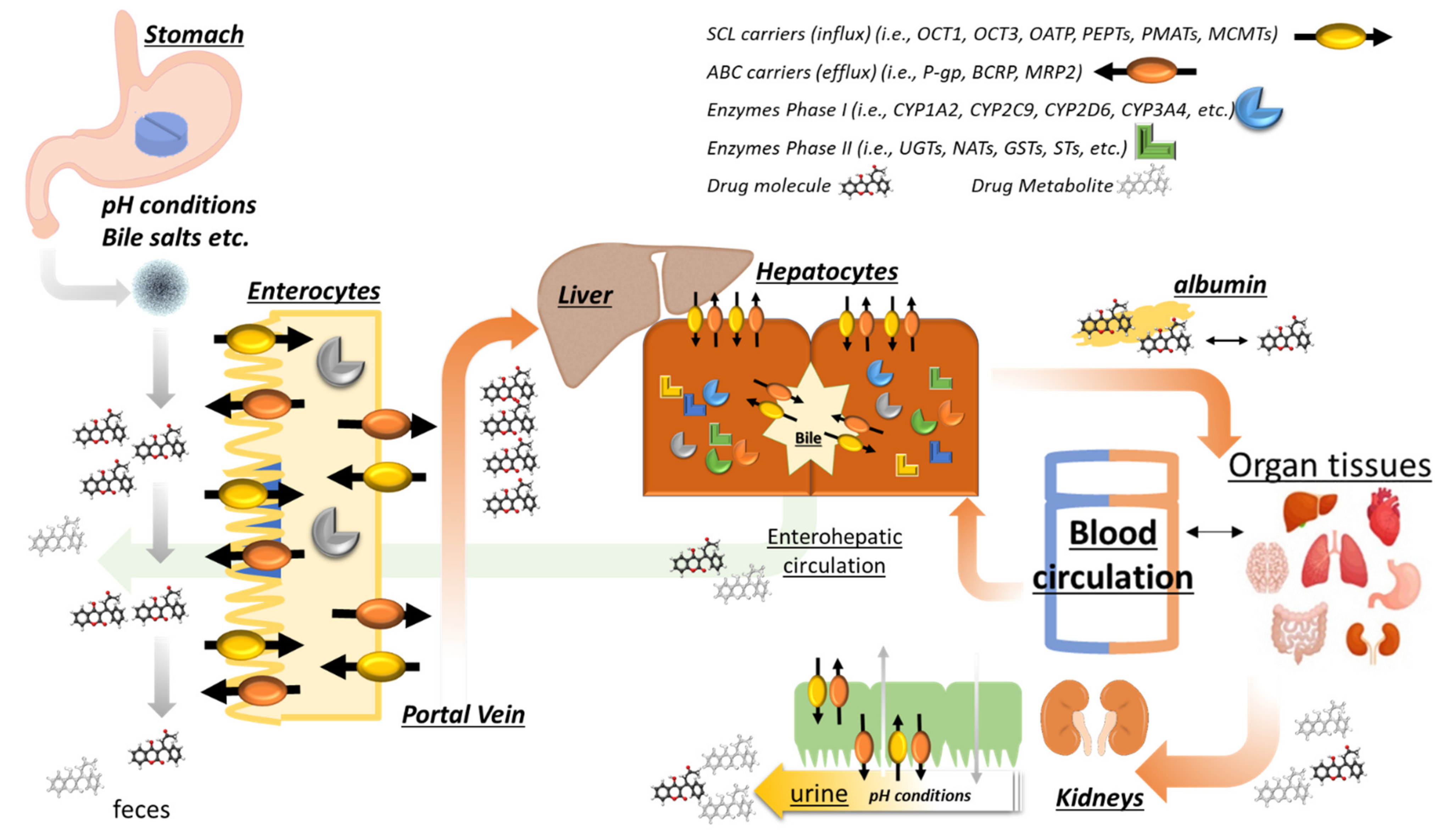 Applsci 12 10207 g003